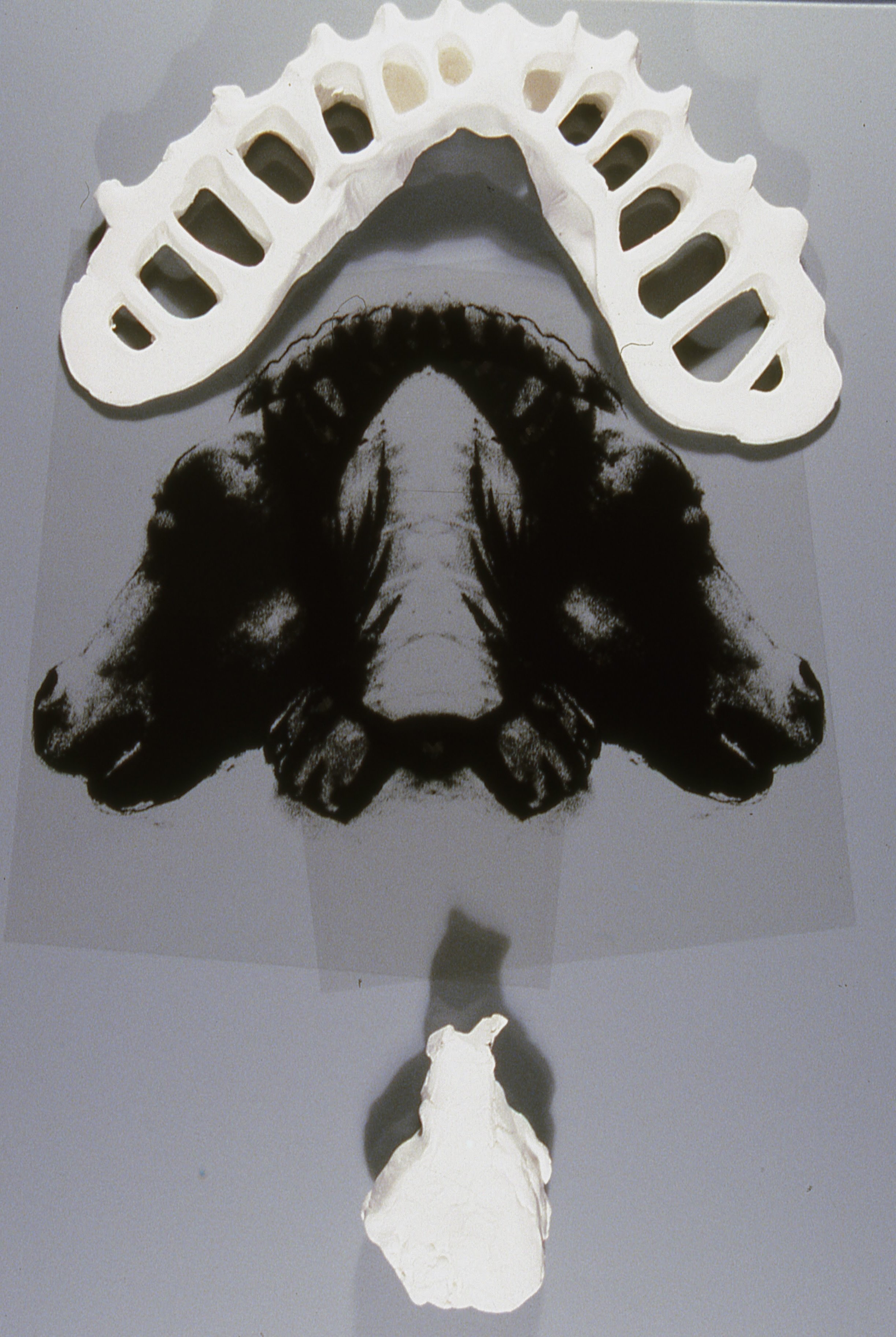 Sculpture With Horseheads and 3-D Forms, KBDesrosiers, 12%22x20%22x4%22, transparencies of charcoal drawings under smoked glass and fired clay forms.jpeg