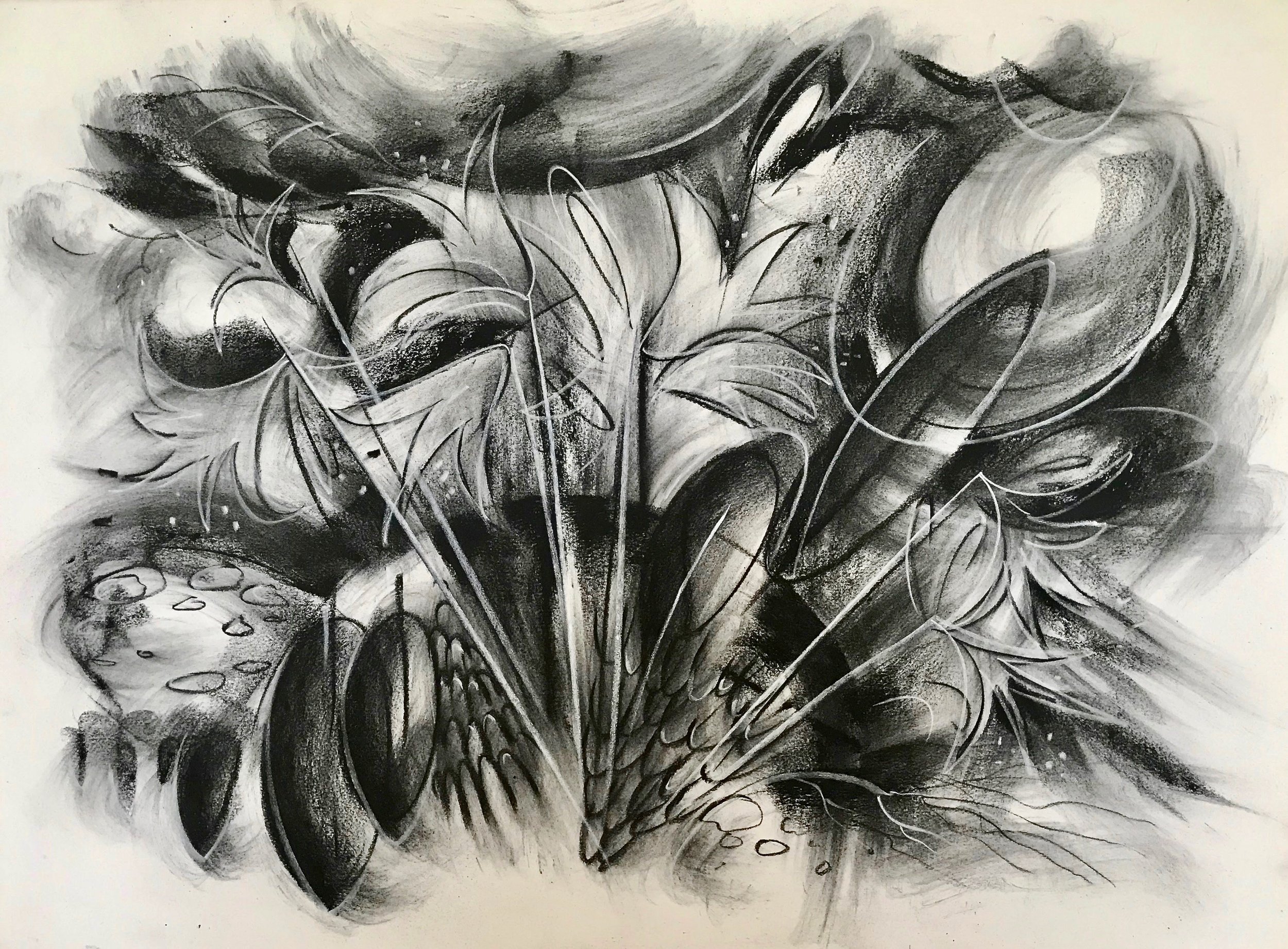 Full Summer, KBDesrosiers, 30%22x22%22charcoal and pastel.jpeg
