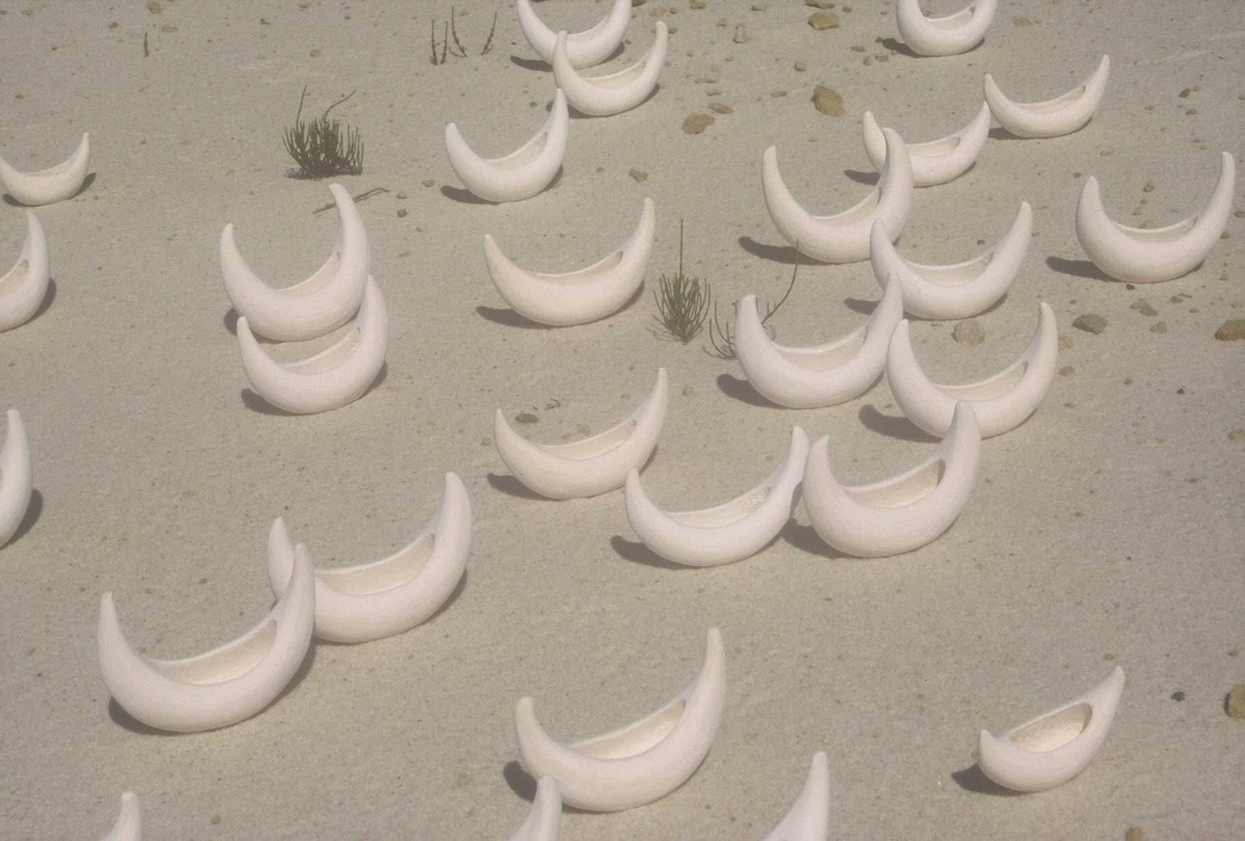 Fleet on Lake Superior Beach, MI, KBDesrosiers, installation of clay forms.jpeg