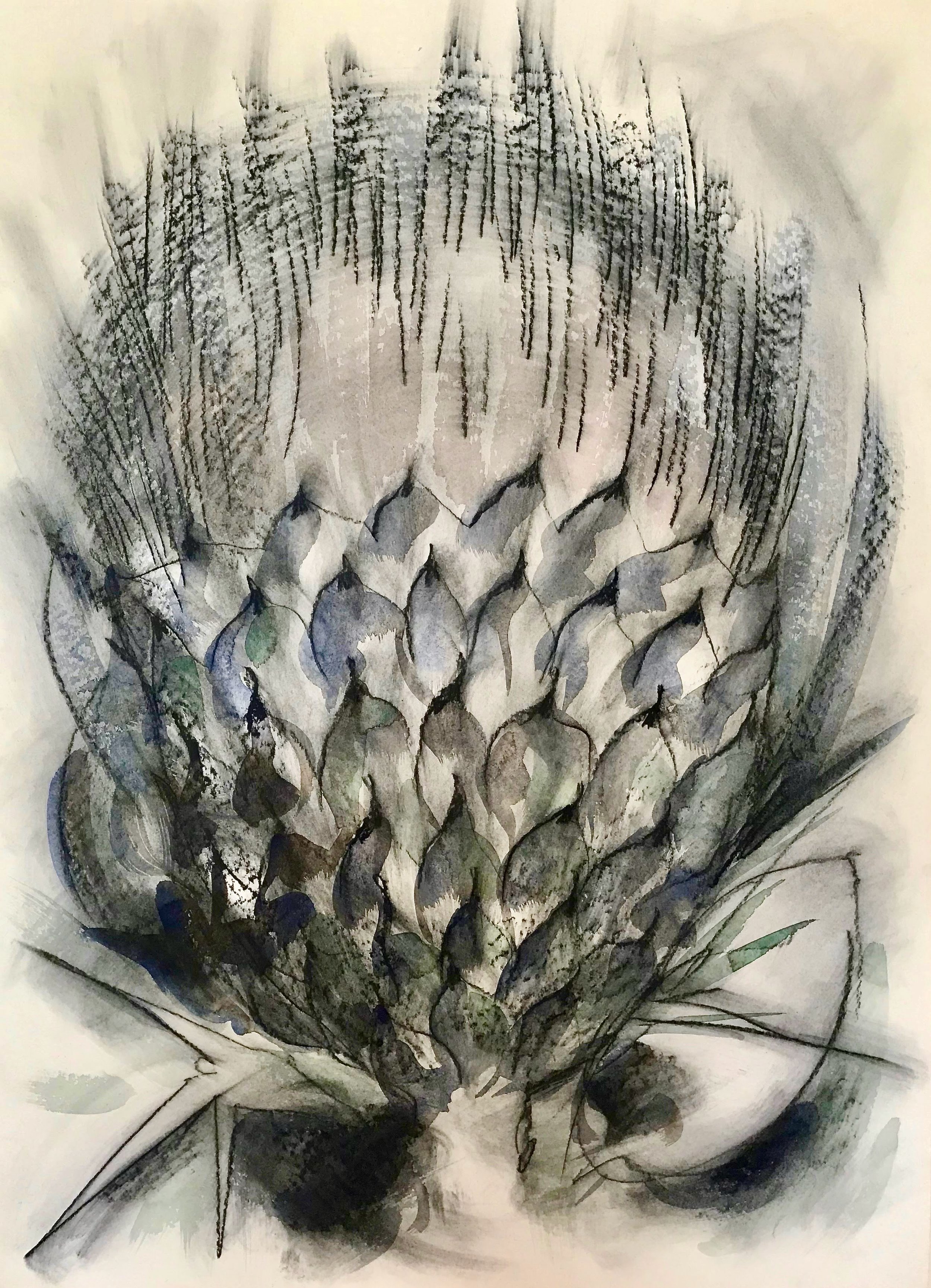 Thistle, KBDesrosiers, 22%22x30%22, charcoal and watercolor.jpeg