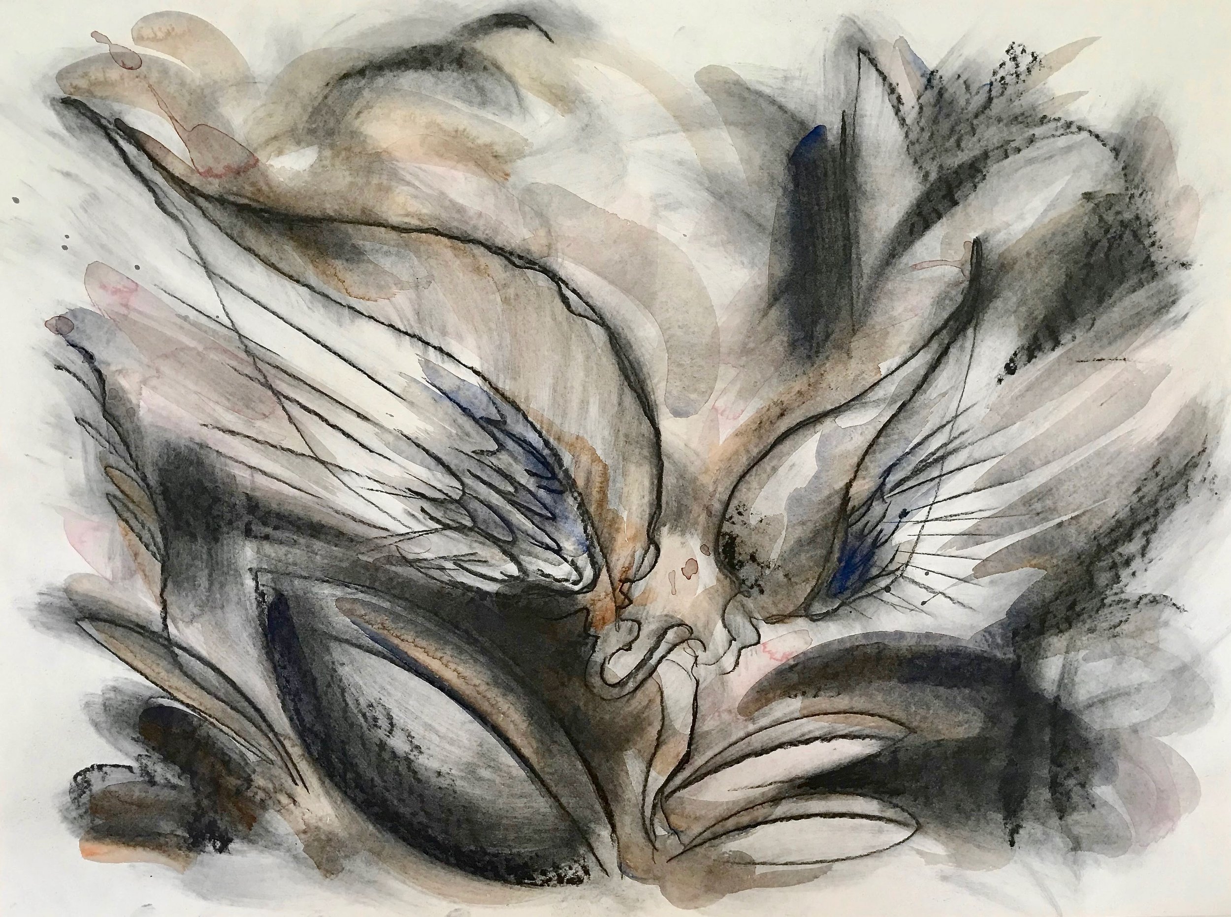 Two Milkweed Pods, KBDesrosiers, 30%22x22%22, charcoal and watercolor.jpeg