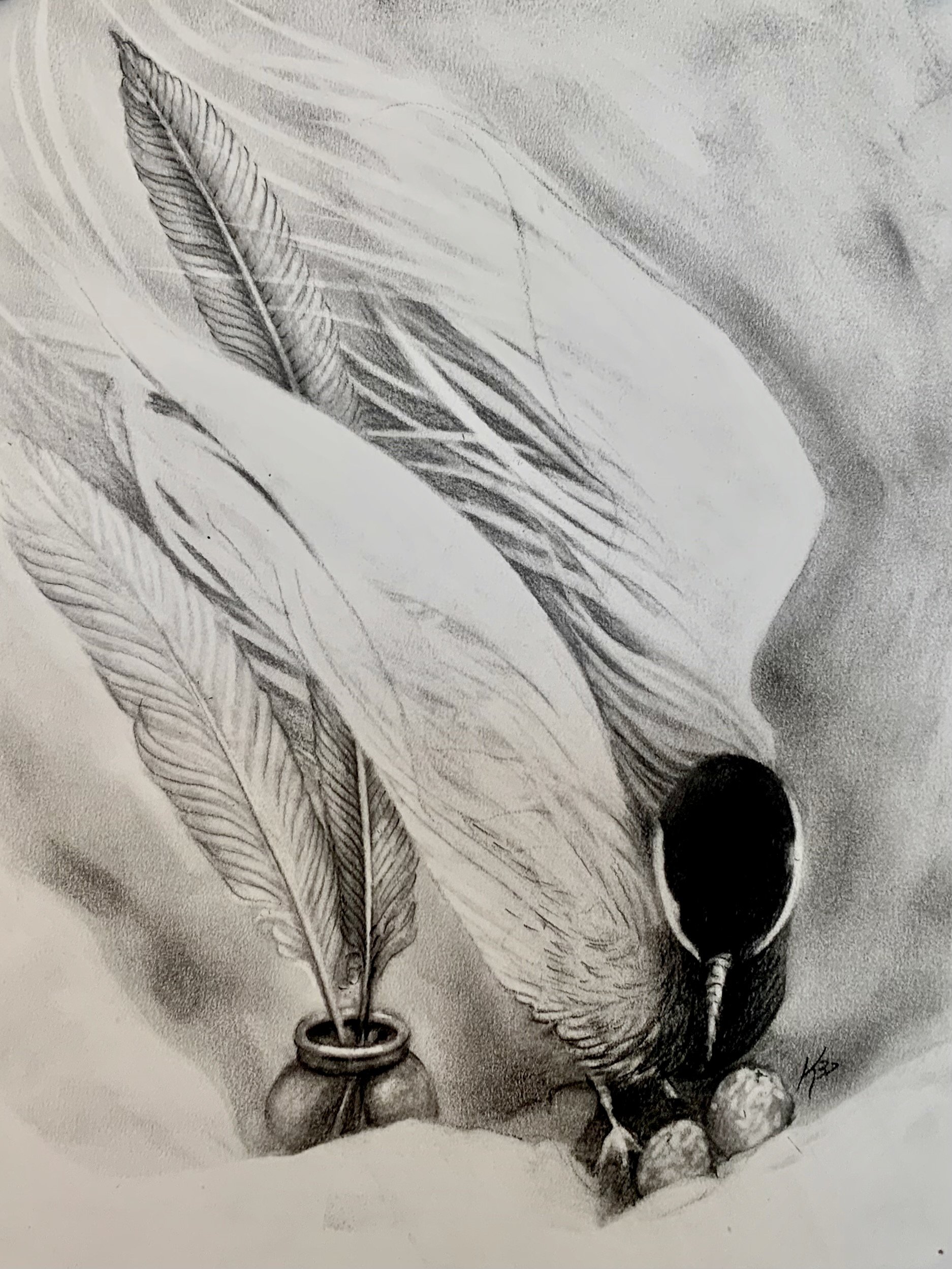 Avocet with Ink Feather Pens, KBDesrosiers, 11.25%22x14.75%22, charcoal.jpeg