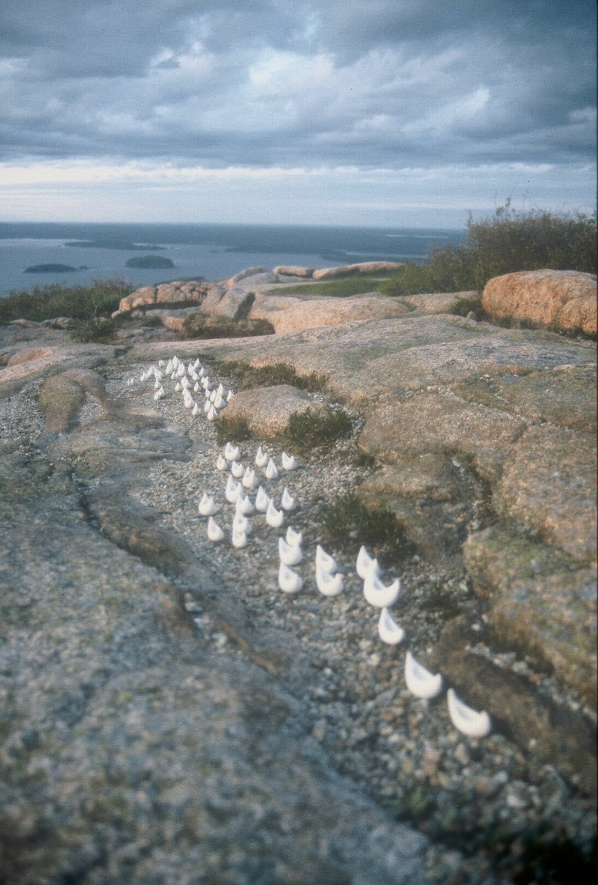 Line of Fleet Forms to the Sea, Mount Cadillac, Acadia, ME, KBDesrosiers, installation of clay forms.jpeg