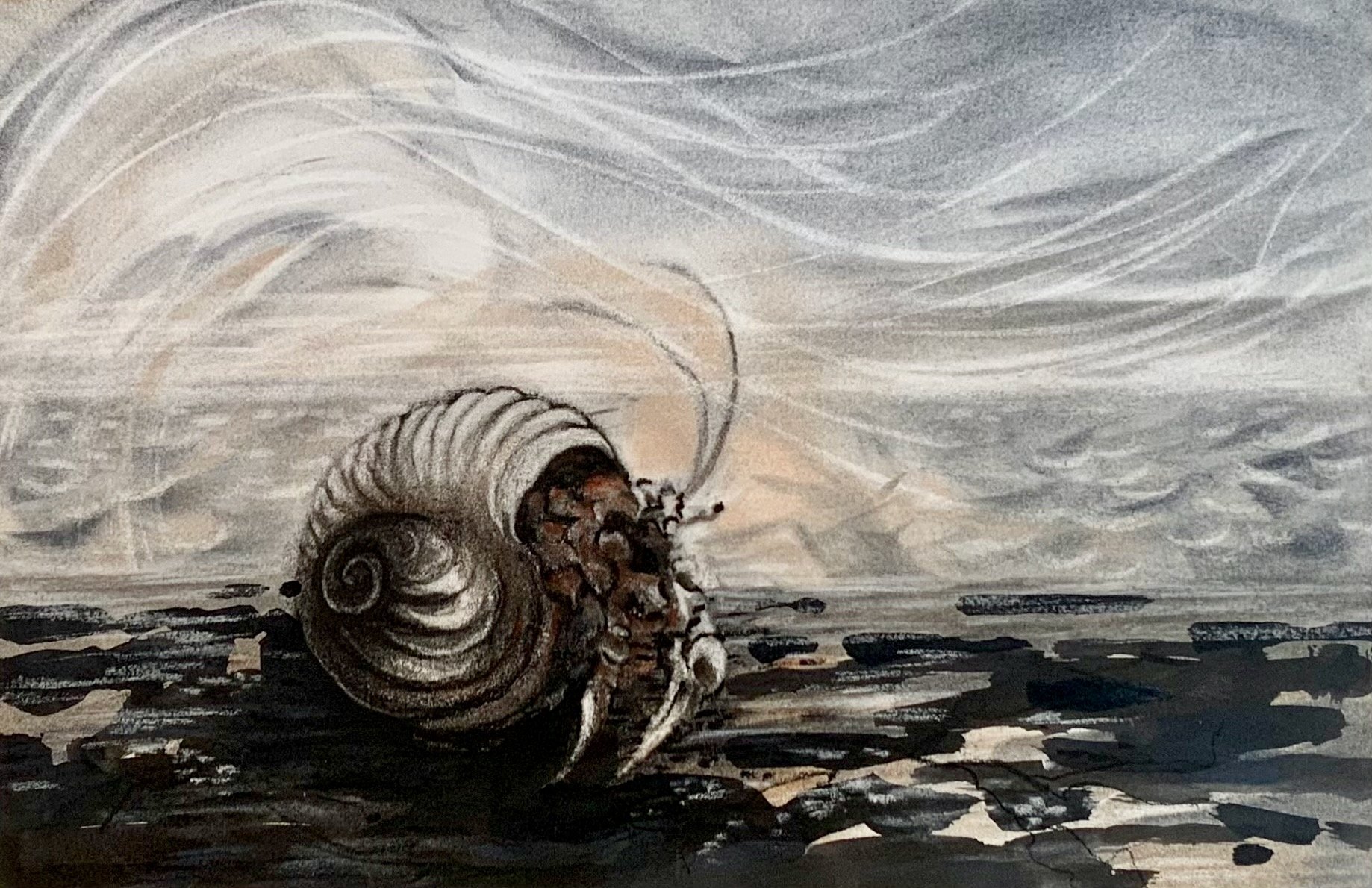 Hermit Crab, KBDesrosiers, 11%22x7.5%22, charcoal, pastel, chalk.jpeg