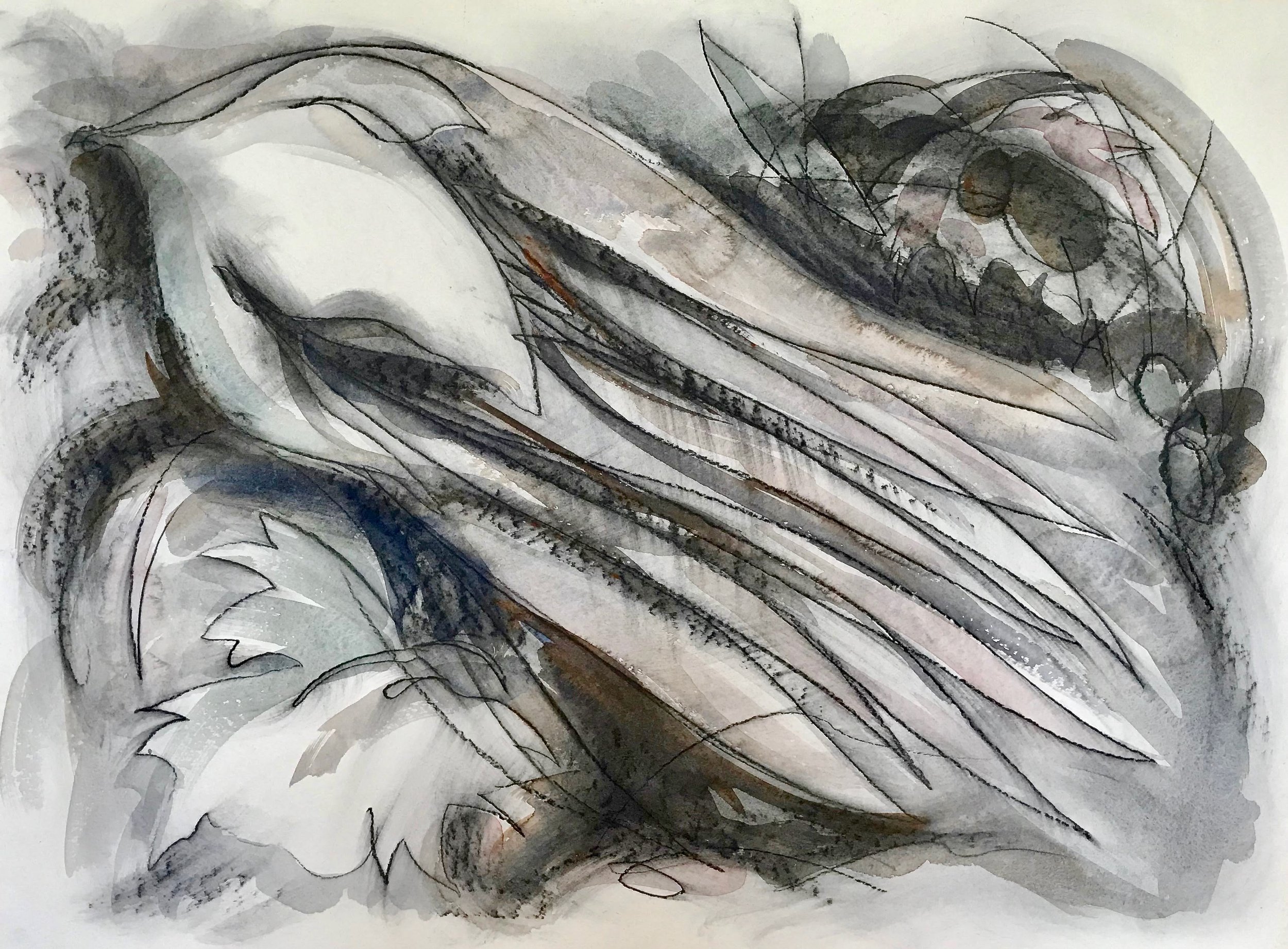Flower Emerging, KBDesrosiers, 30%22x22%22, charcoal and Watercolor.jpeg