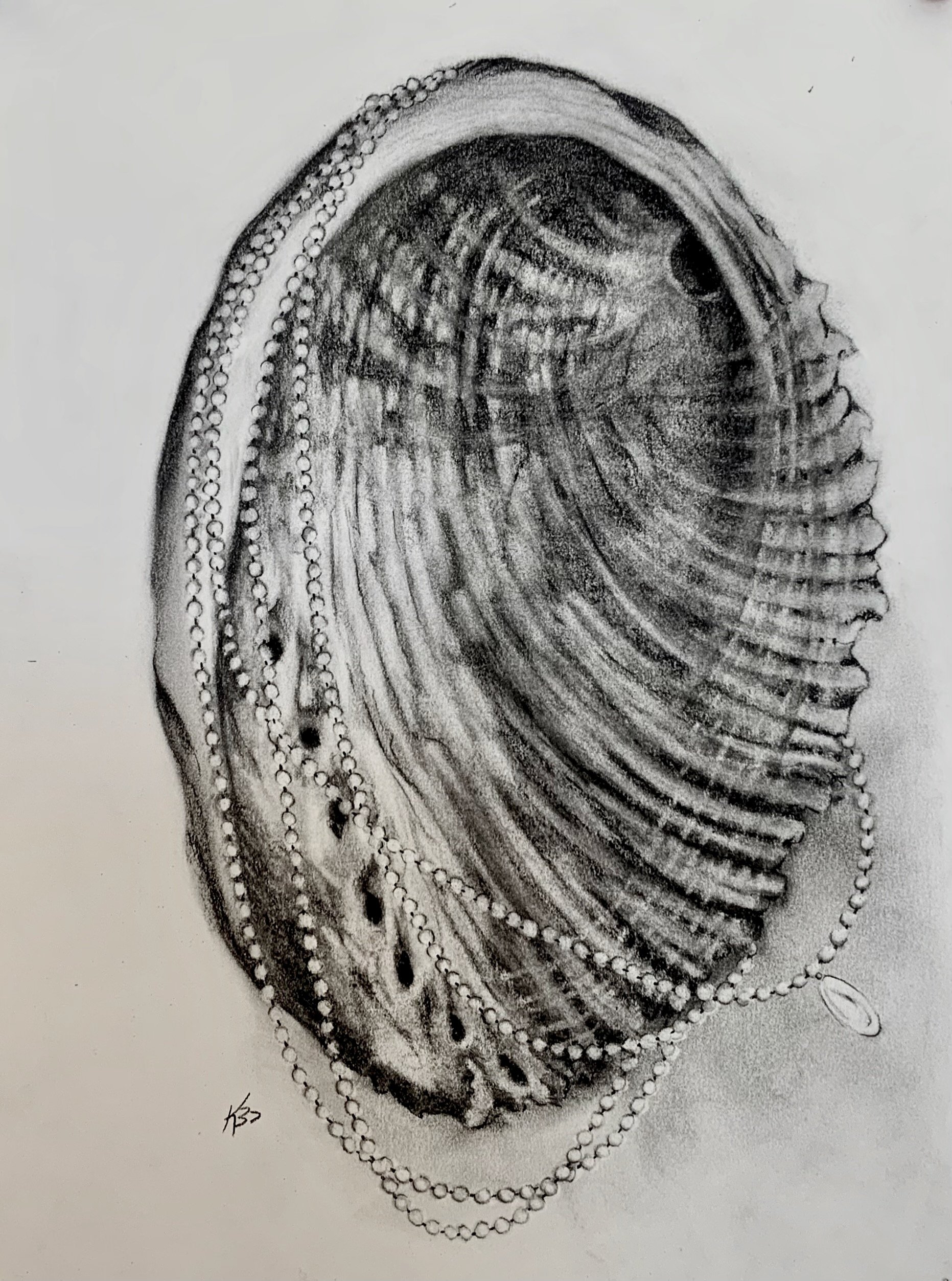 Abalone Shell with Pearls, KBDesrosiers, 11.25%22x14.75%22, charcoal.jpeg
