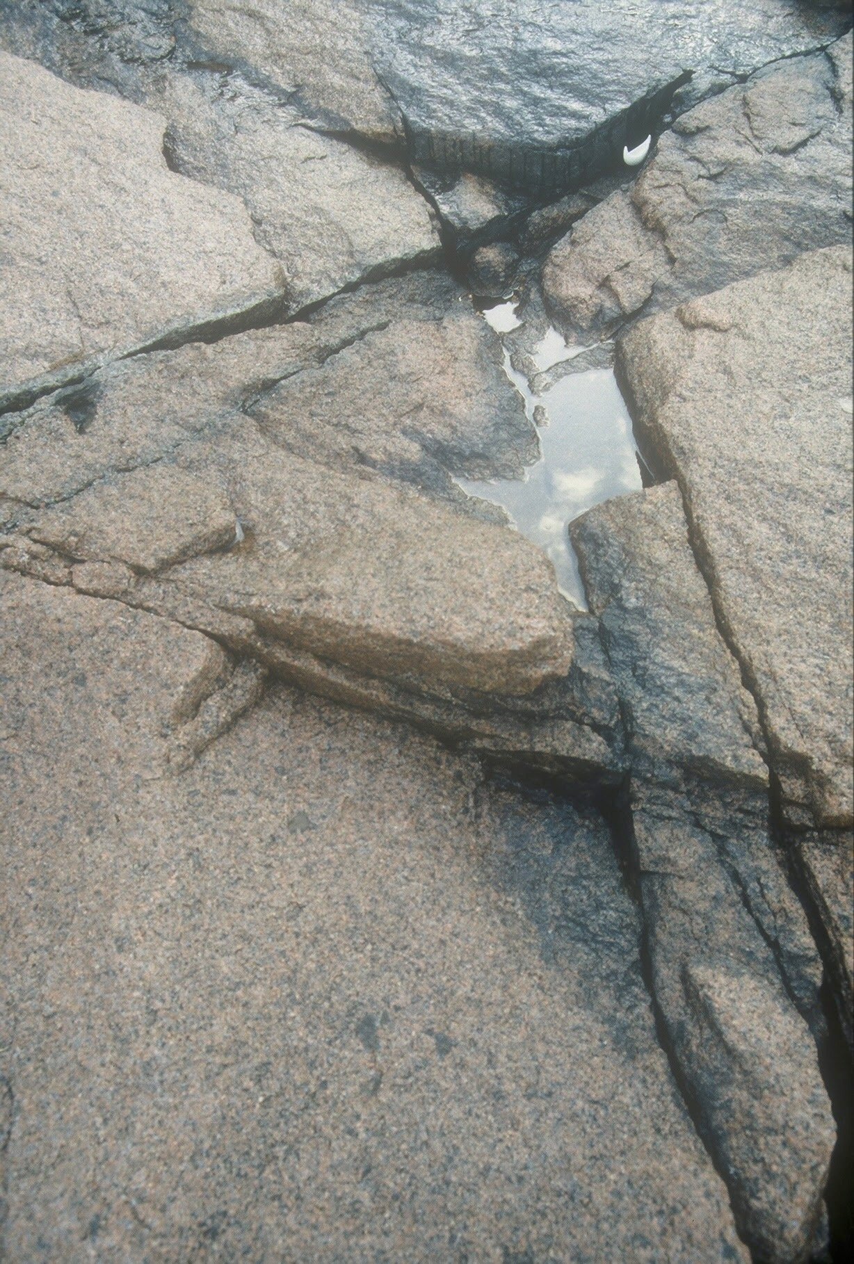 Fleet in a Crevice, Schoodic, ME, KBDesrosiers, installation of clay forms.jpeg