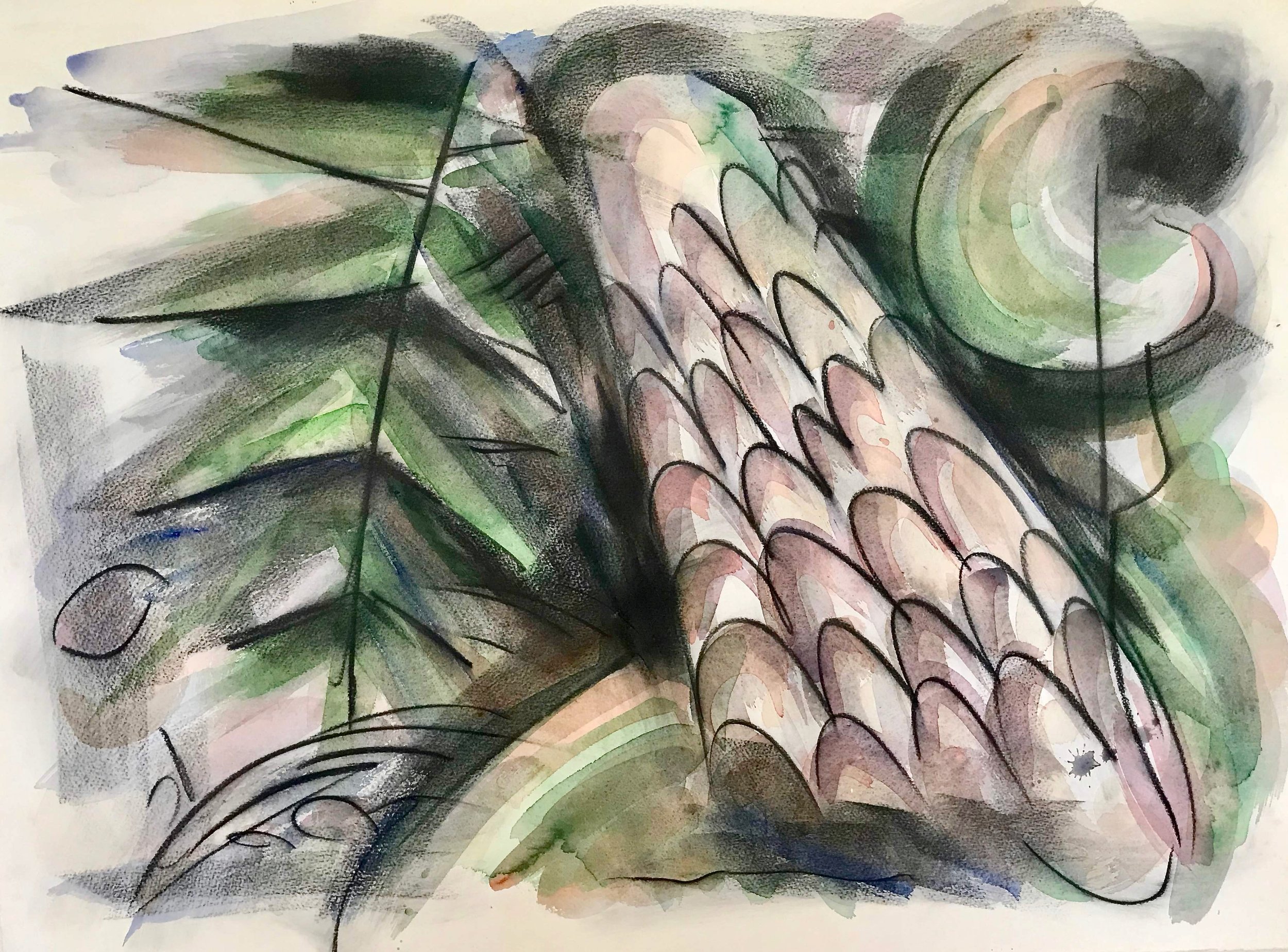 White Pine, KBDesrosiers, 30%22x22%22, charcoal and watercolor.jpeg
