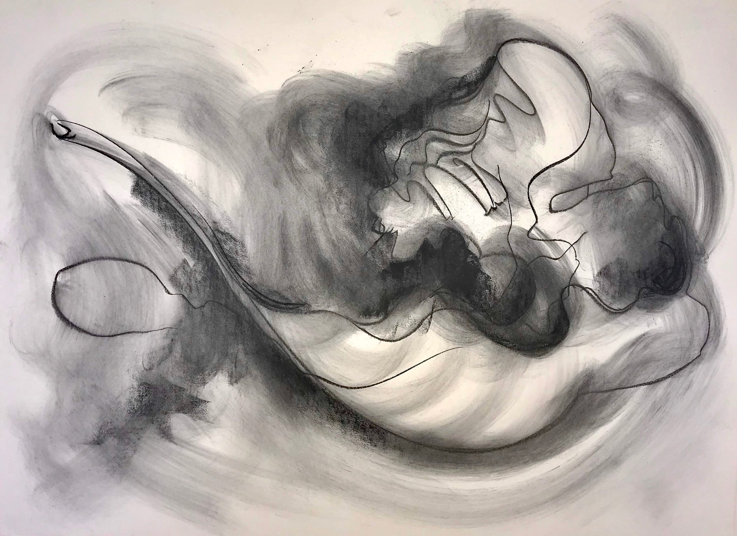 Senescence and Seed, KBDesrosiers, 30%22x22%22,charcoal and pastel.jpeg