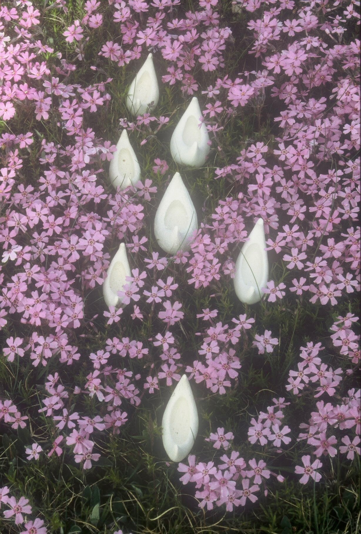 Fleet in Phlox, Dixmont, ME, KBDesrosiers, installation of clay forms.jpeg