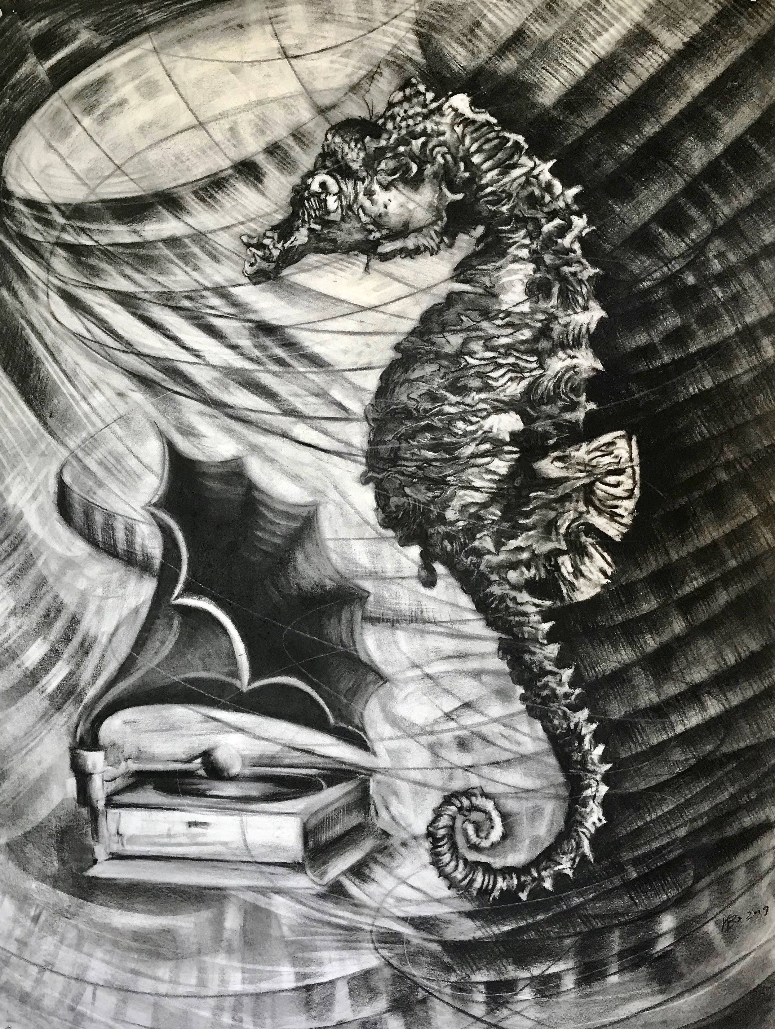 Seahorse and Victrola, KBDesrosiers, 22%22x30%22, charcoal.jpeg