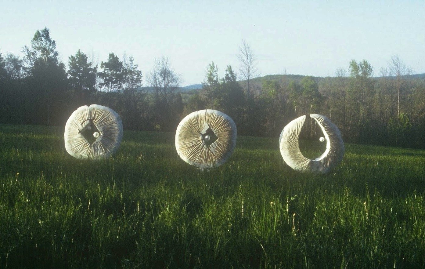 Three Moon Discs, KBDesrosiers, 4'x5'x20', painted wood, monofilament.jpeg