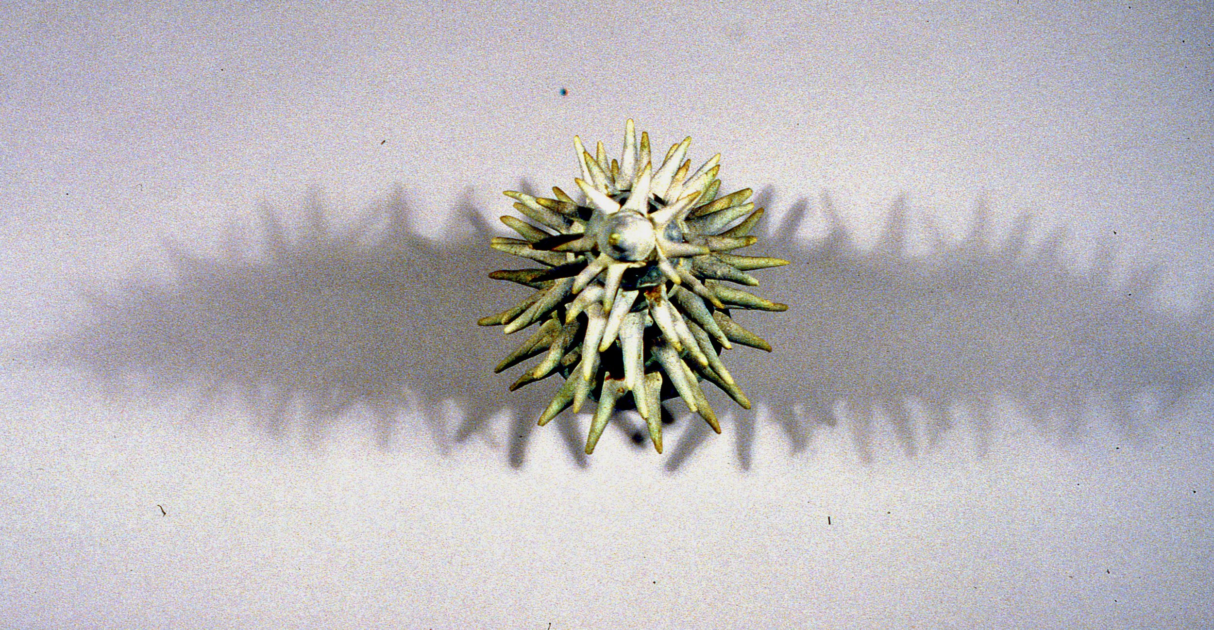 Urchin and Its Shadow, KBDesrosiers, 18%22x12%22x13%22, fired and stained clay.jpeg