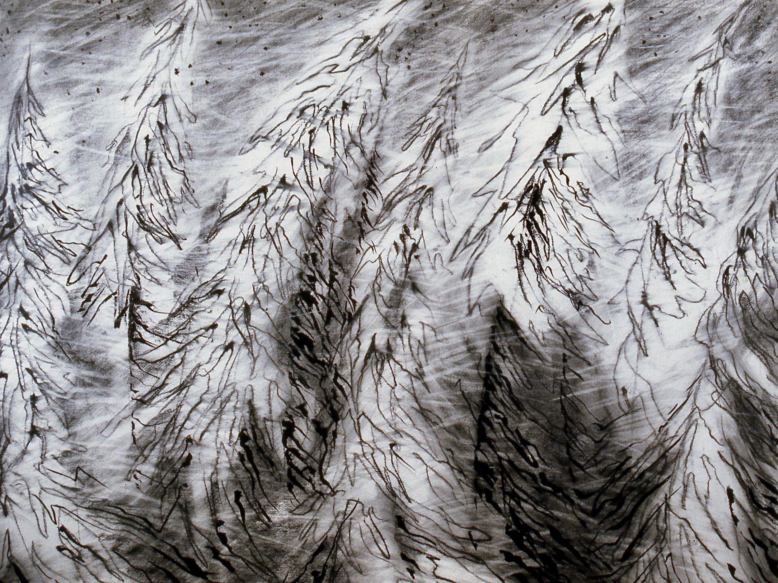 The Cascades at 80 mph from a train, KBDesrosiers, 35%22x26%22,charcoal, pastel, ink.jpeg