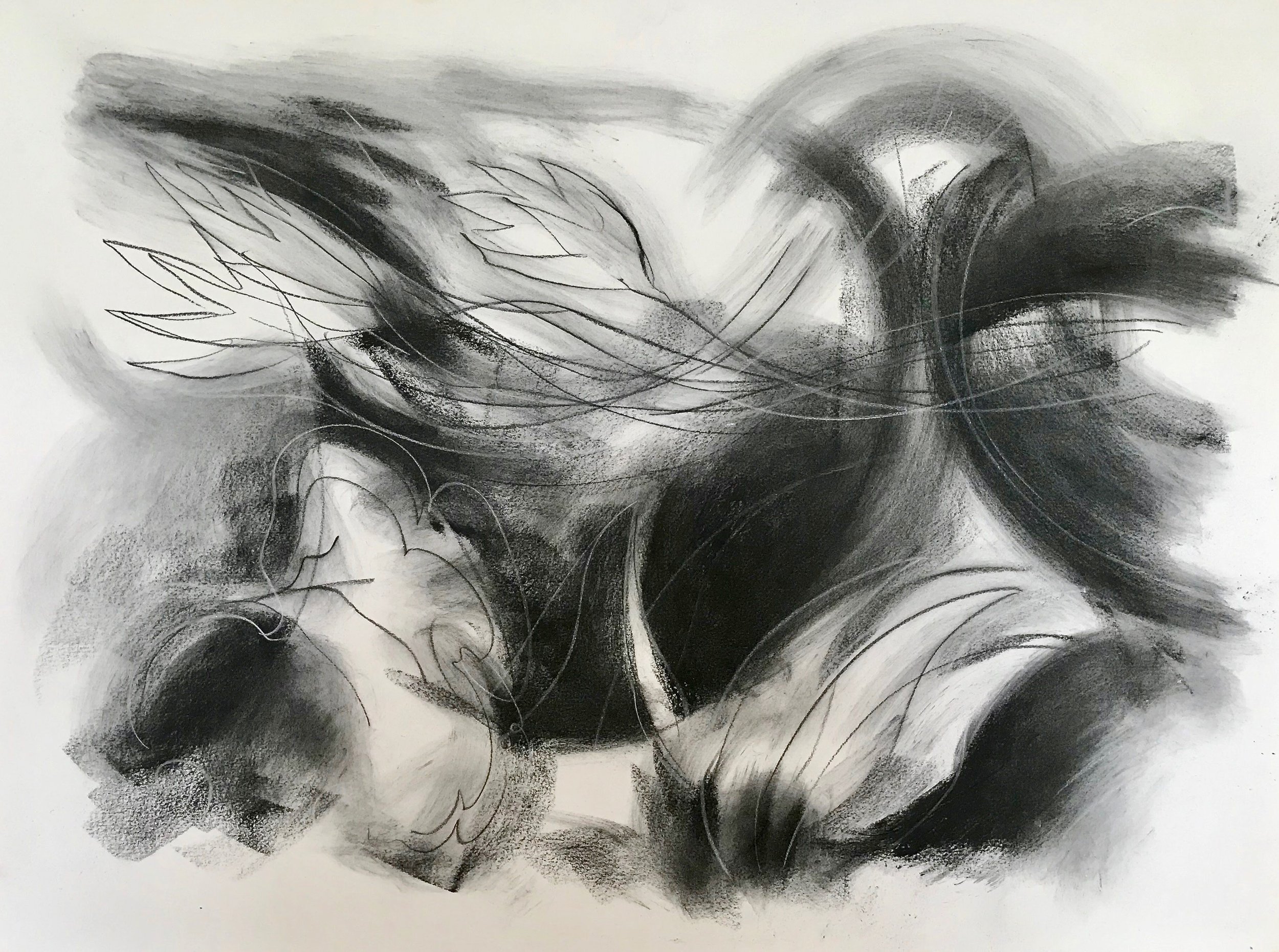 The Arc of Stems, KBDesrosiers, 30%22x22%22charcoal and pastel.jpeg