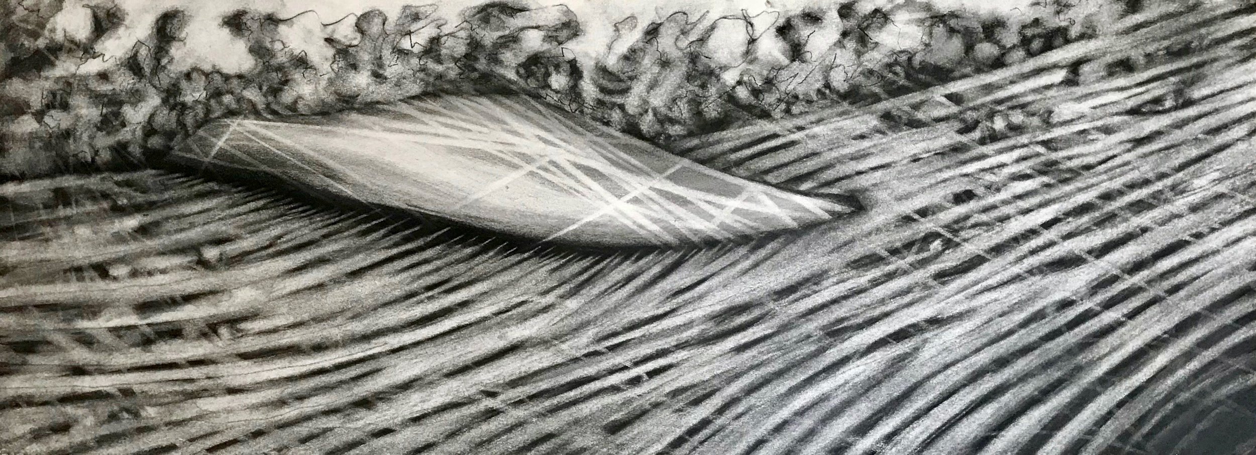 Fin, KBDesrosiers, 30%22x11.25%22, charcoal.jpeg