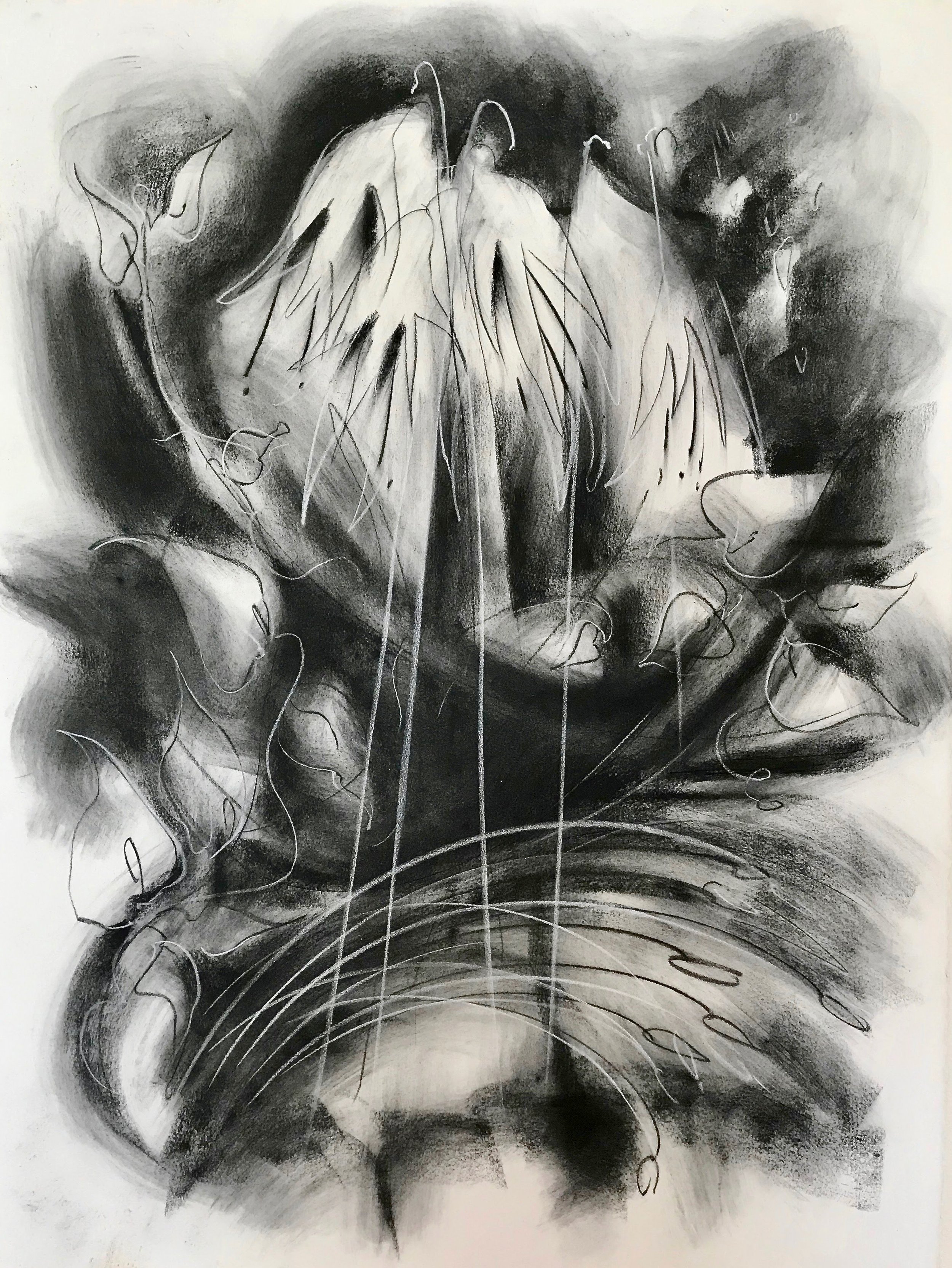 Lilies, KBDesrosiers, 22%22x30%22charcoal and pastel.jpeg