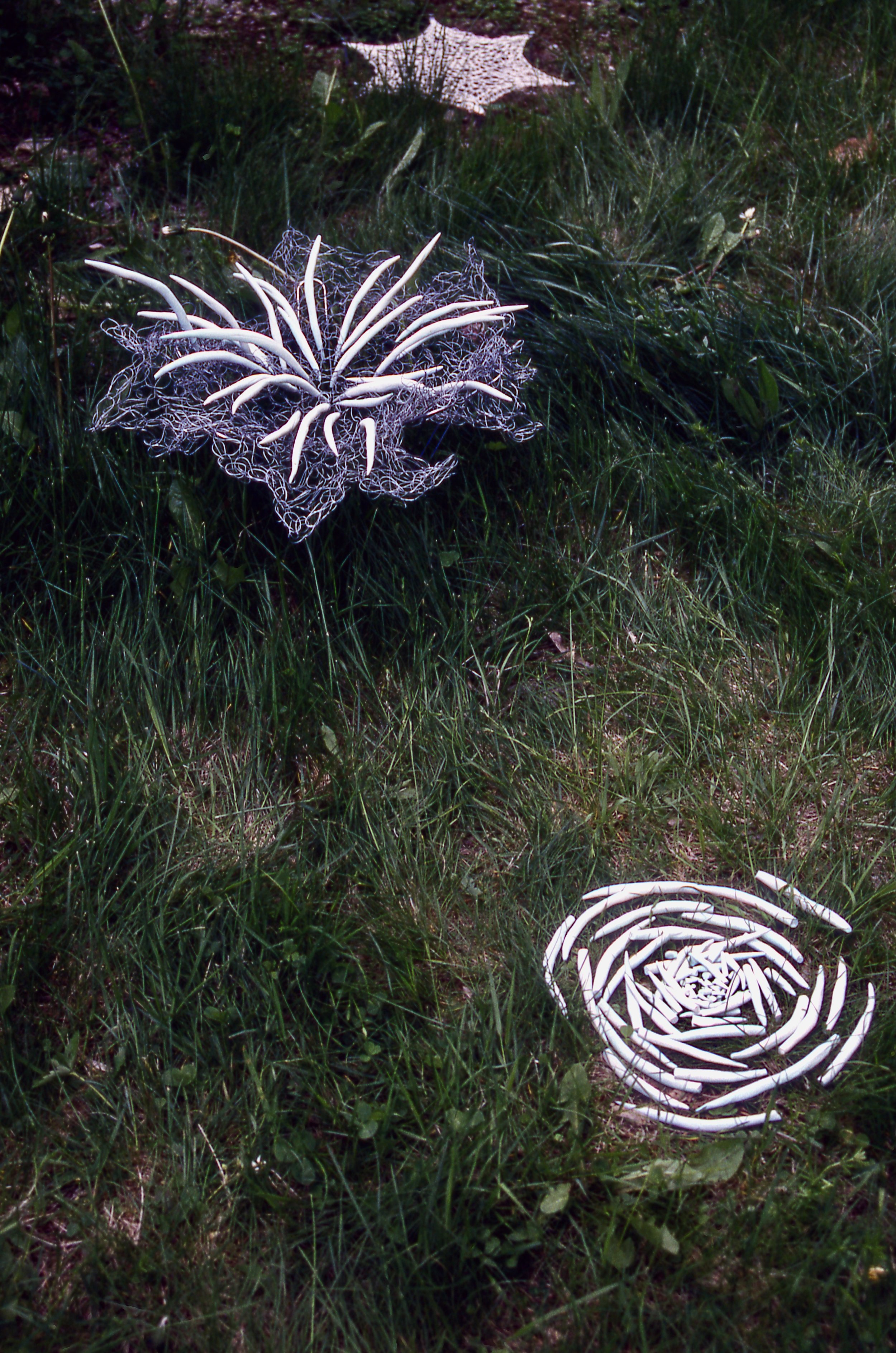 WEbs in the Grass, KBDesrosiers, inatallation of crocheted wire and clay formsjpeg.jpeg