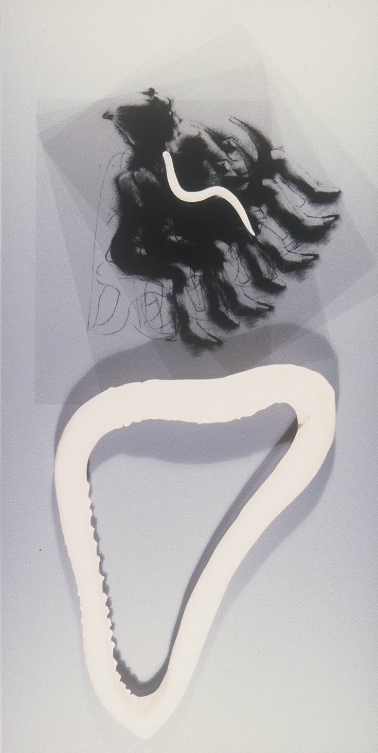 Sculpture With Seated Figure and 3-D Harp and Snake Form, KBDesrosiers, 12%22x20%22x2%22, transparencies of charcoal drawings under smoked glass and fired clay forms.jpeg