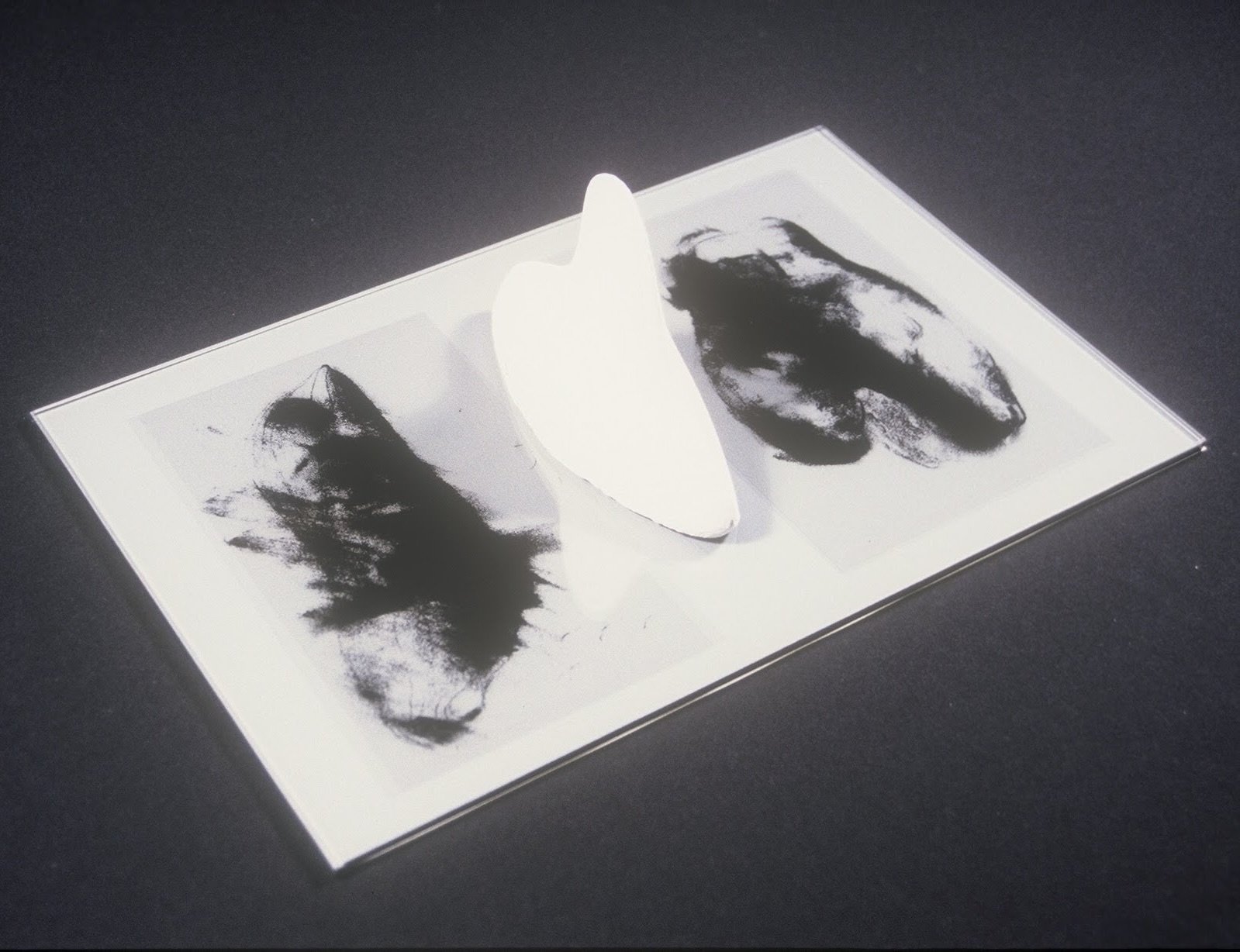 Sculpture With Torsos and 3-D (phallic?) Form, (angled view showing 3-D) KBDesrosiers, 12%22x20%22x4%22, transparencies of charcoal drawings under smoked glass and fired clay forms.jpeg