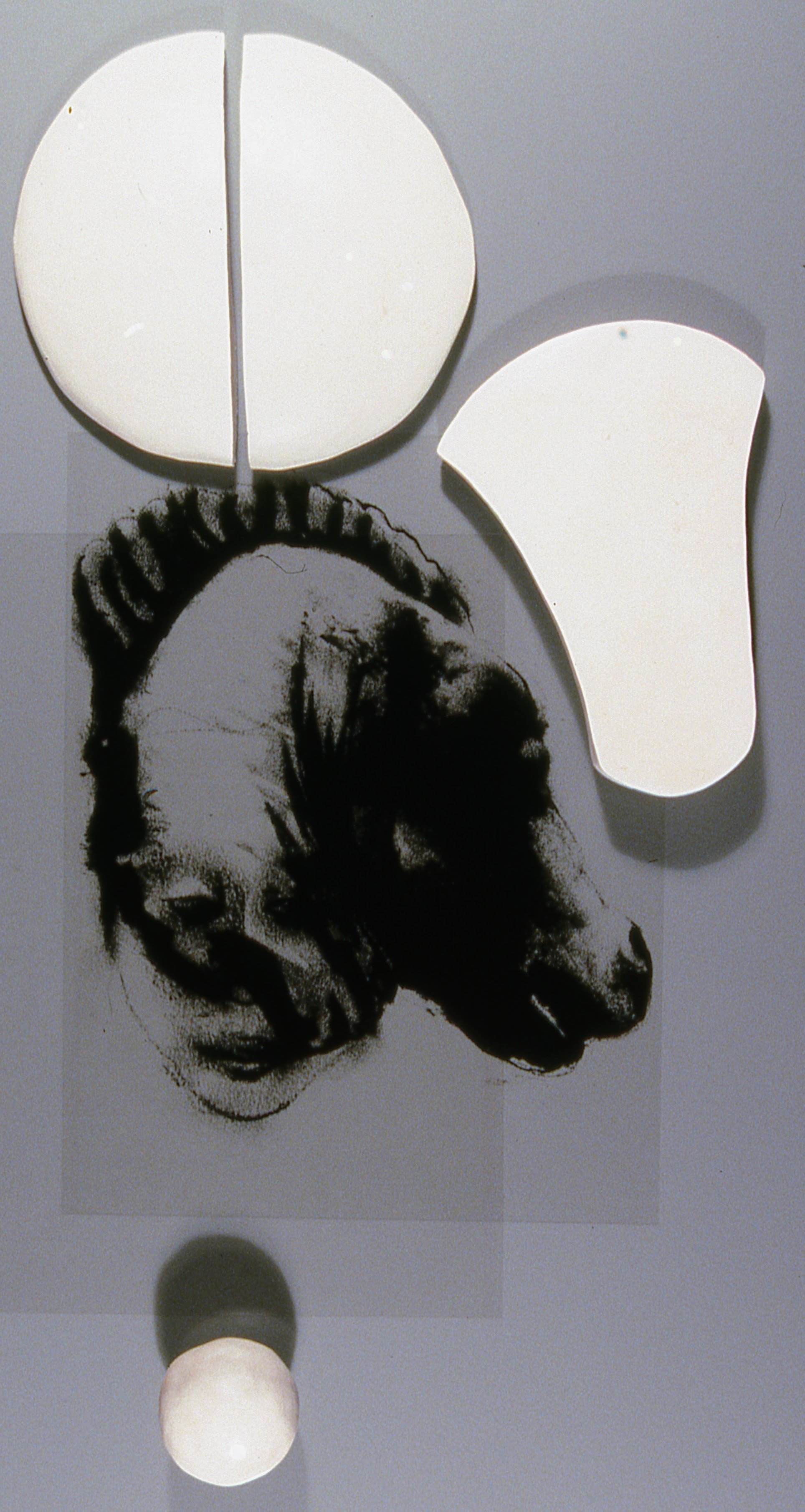 Sculpture With Horsehead and 3-D Discus, Axhead, and Ball Forms, KBDesrosiers, 12%22x20%22x2%22, transparencies of charcoal drawings under smoked glass and fired clay forms.jpeg
