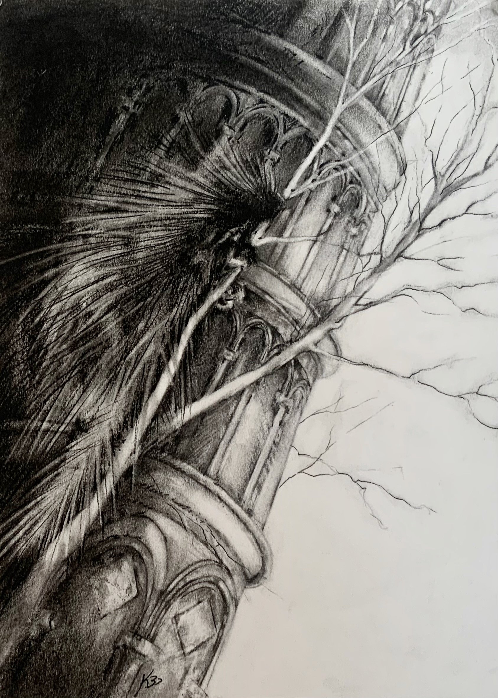 Porcupine with the Tower of Pisa, KBDesrosiers, 11.25%22x14.75%22, charcoal.jpeg