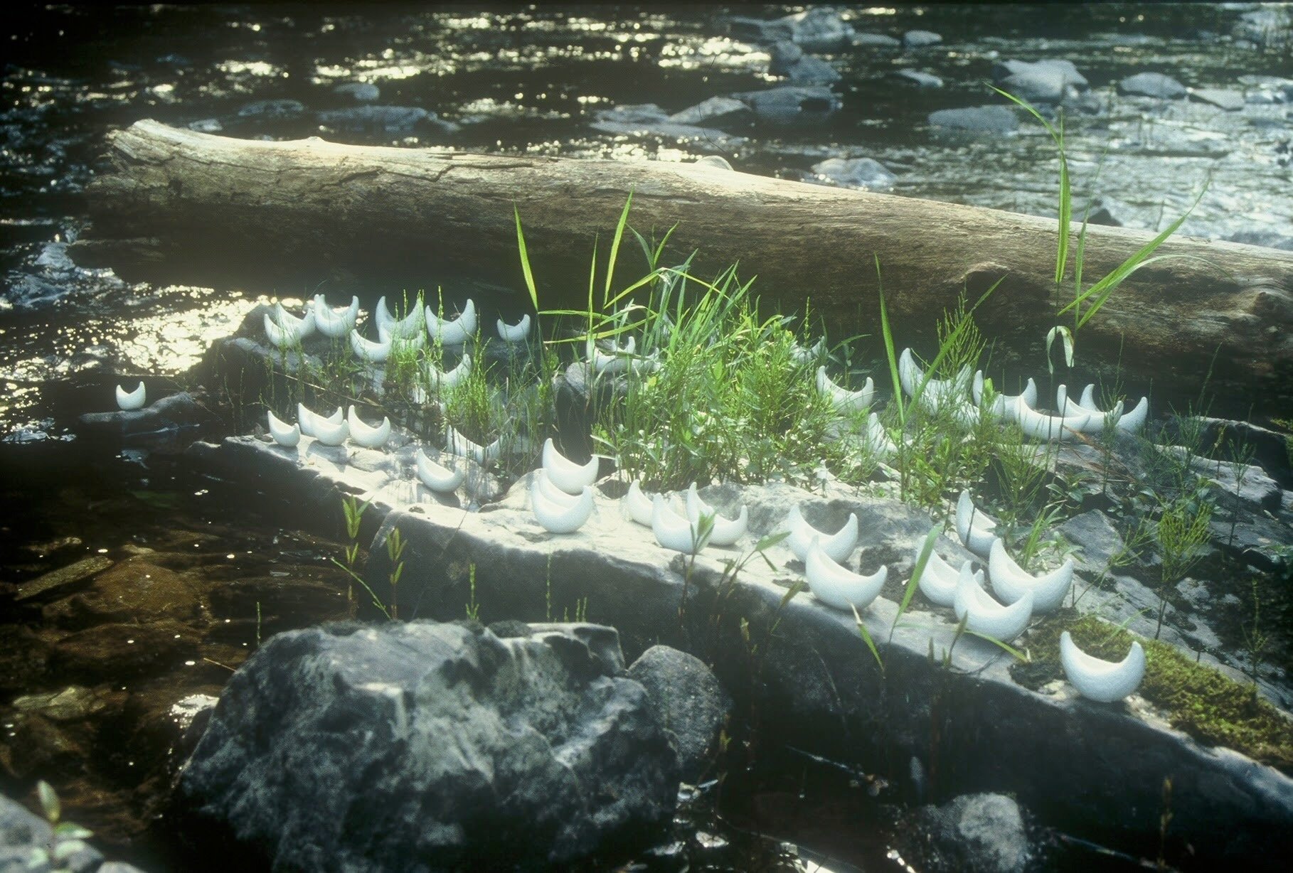 Fleet along Marsh Stream, Monroe, ME, KBDesrosiers, installation of clay forms.jpeg