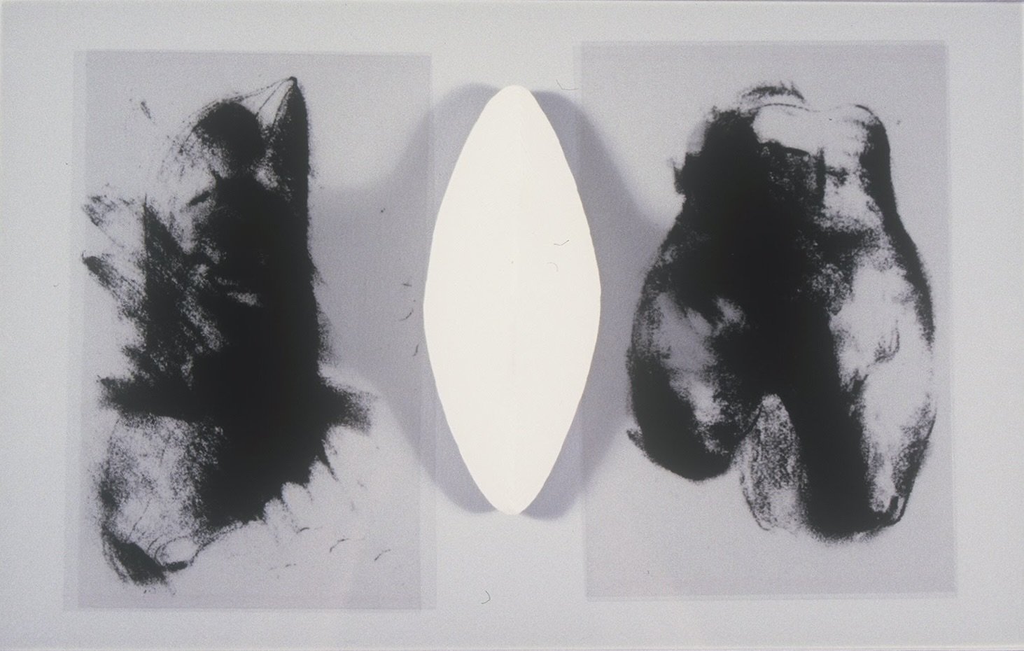 Sculpture With Torsos and 3-D (phallic?) Form, KBDesrosiers, 12%22x20%22x4%22, transparencies of charcoal drawings Under smoked glass and fired clay forms.jpeg