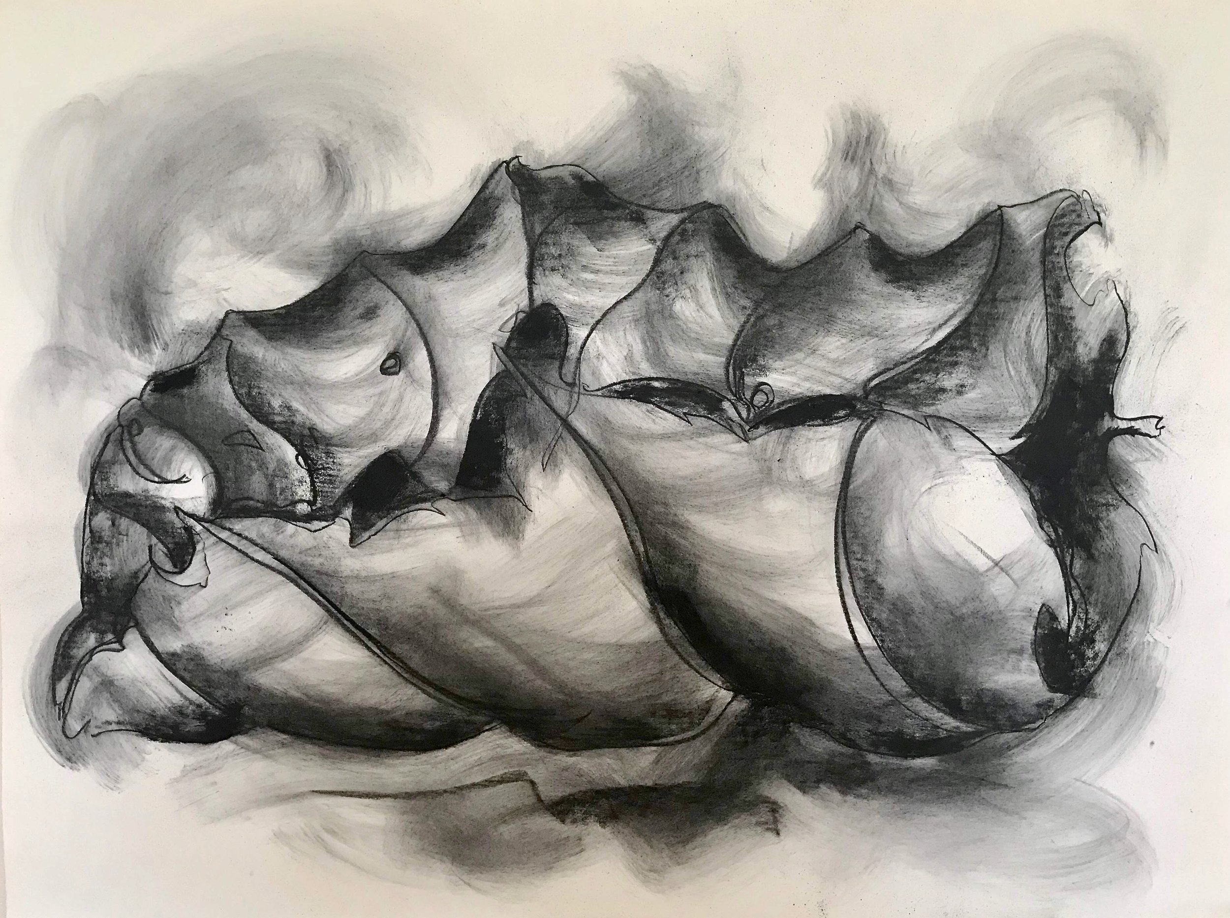 Cocooned Beech Leaf, KBDesrosiers, 30%22x22%22, charcoal.jpeg