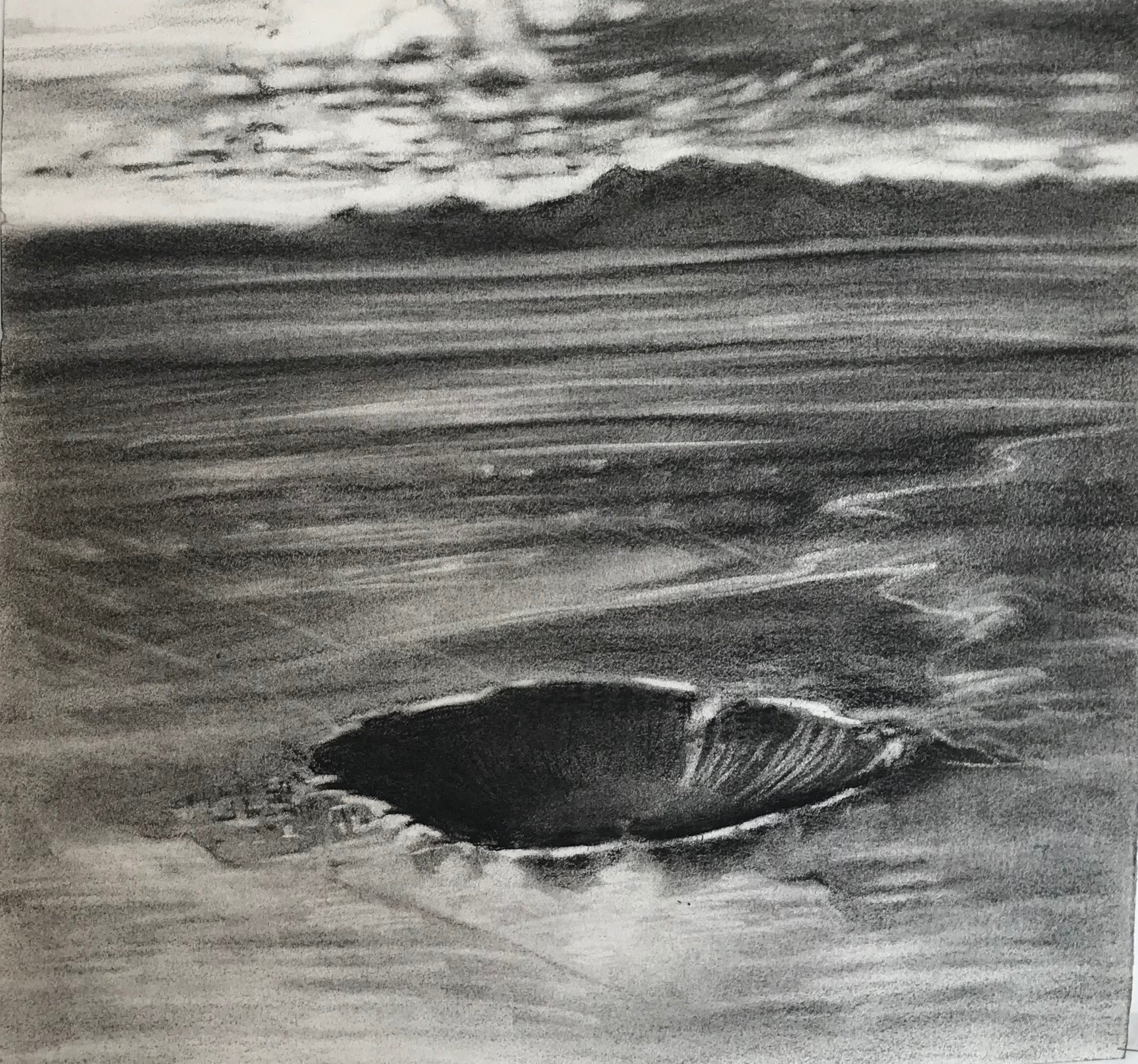 Coon Butte and the Meteor Crater,KBDesrosiers, 15%22x14%22, charcoal.jpeg