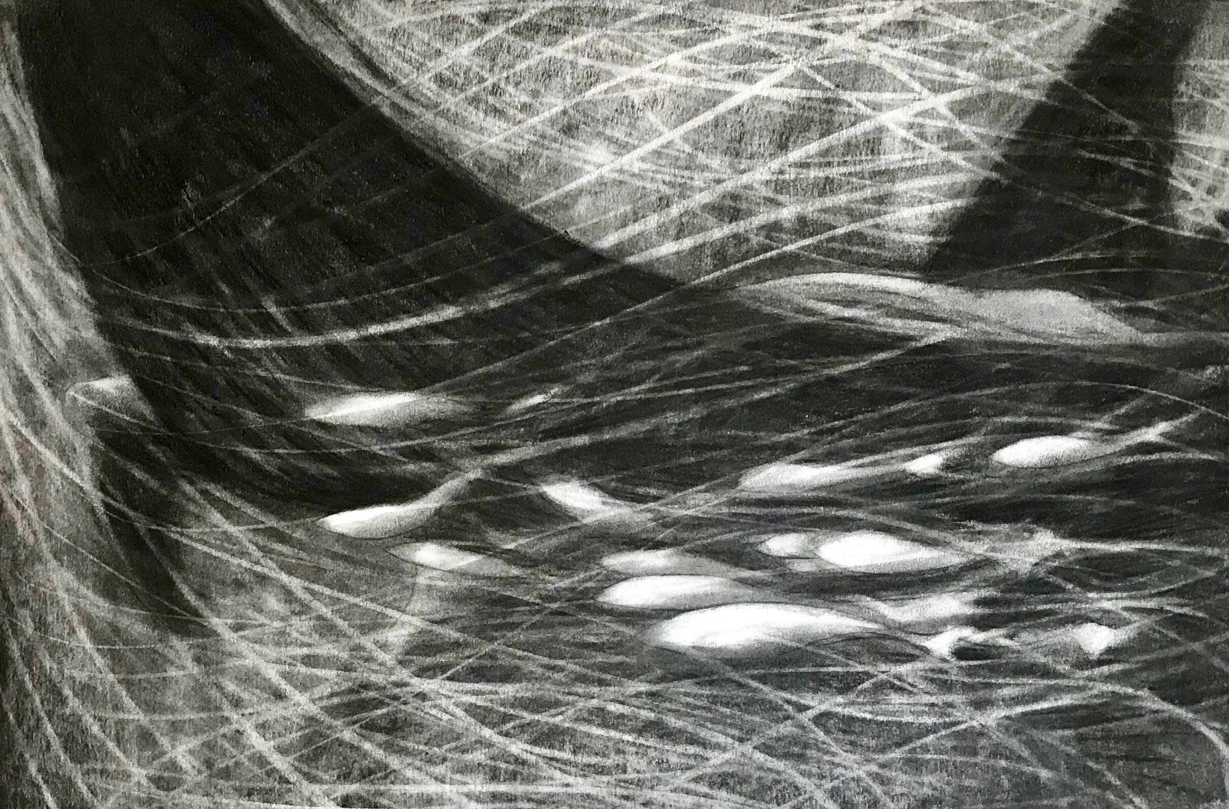 Ray and Remora Fish, KBDesrosiers, 22%22x15%22, charcoal.jpeg
