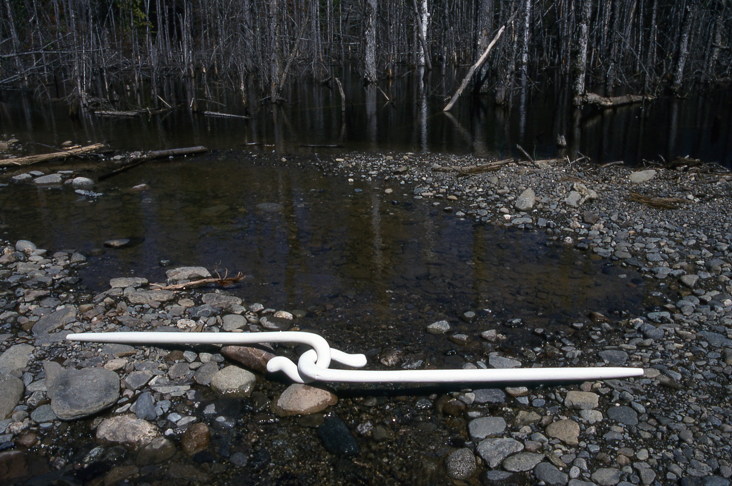 Two Canes as a Bridge, KBDesrosiers, installation, 8'x6%22x6%22, carved and painted wood.jpeg