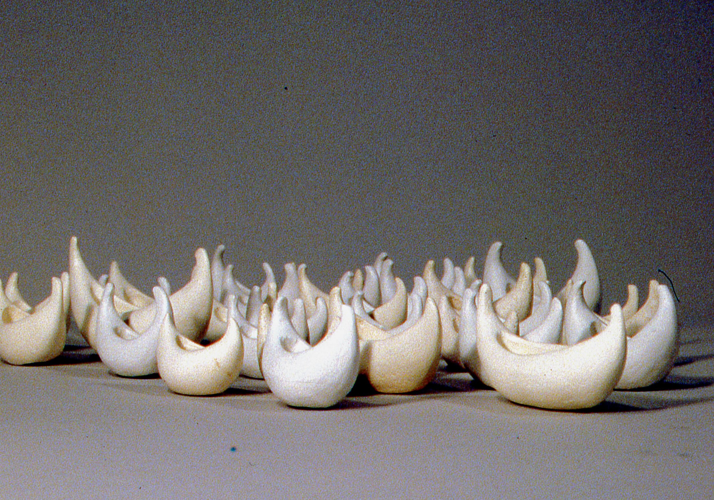 Fleet (horizontal studio photo) KBDesrosiers, installation of clay forms.jpeg