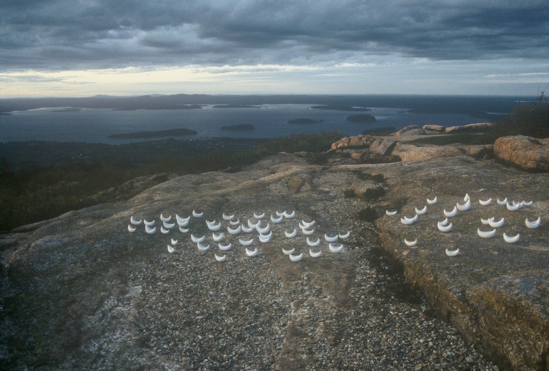 Fleet on Mount Cadillac, Acadia, ME,KBDesrosiers, installation of clay forms.jpeg