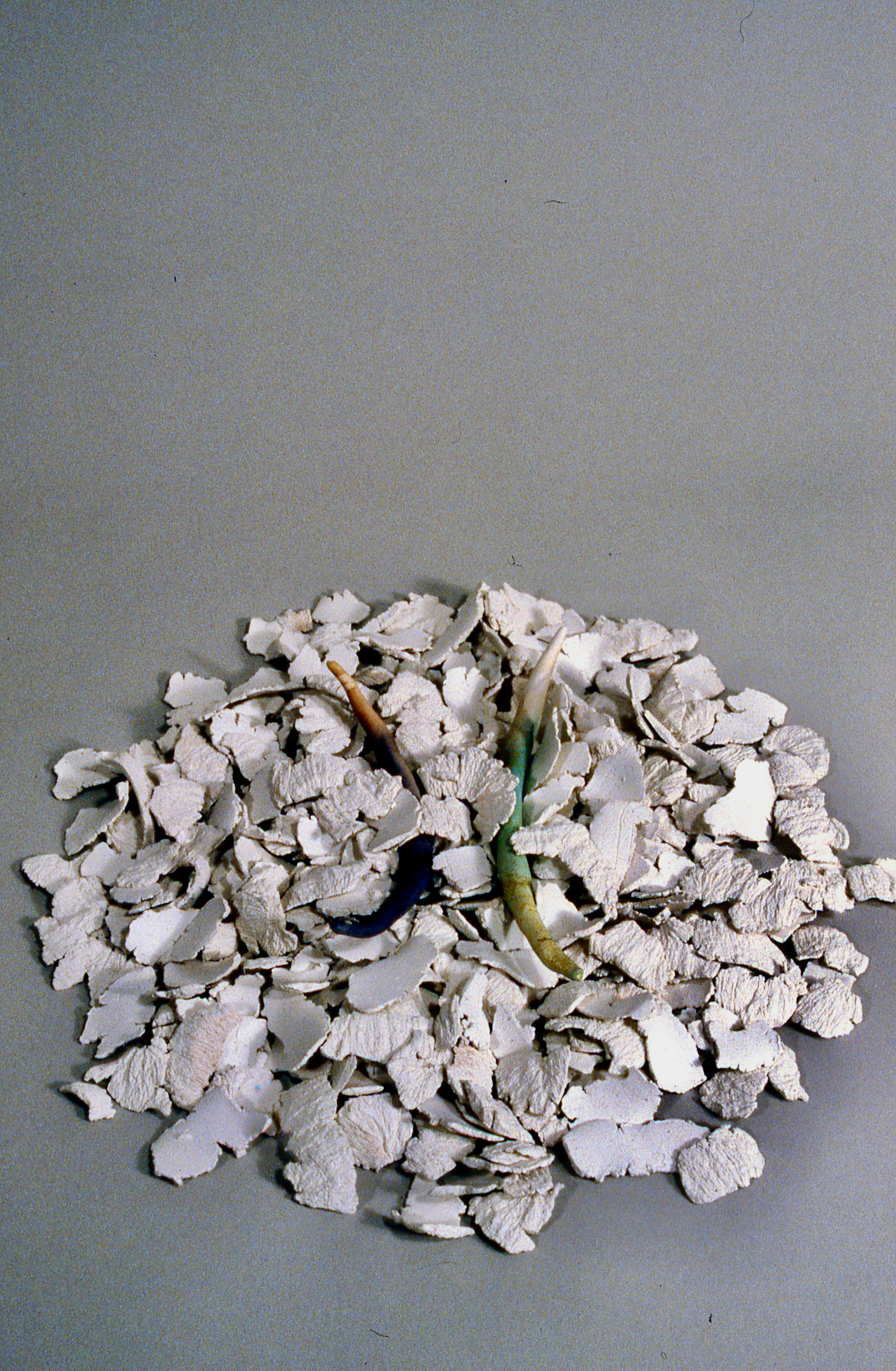 Circle of Fragments and Bones, KBDesrosiers, 12%22x12%22x2%22, fired and stained clay.jpeg