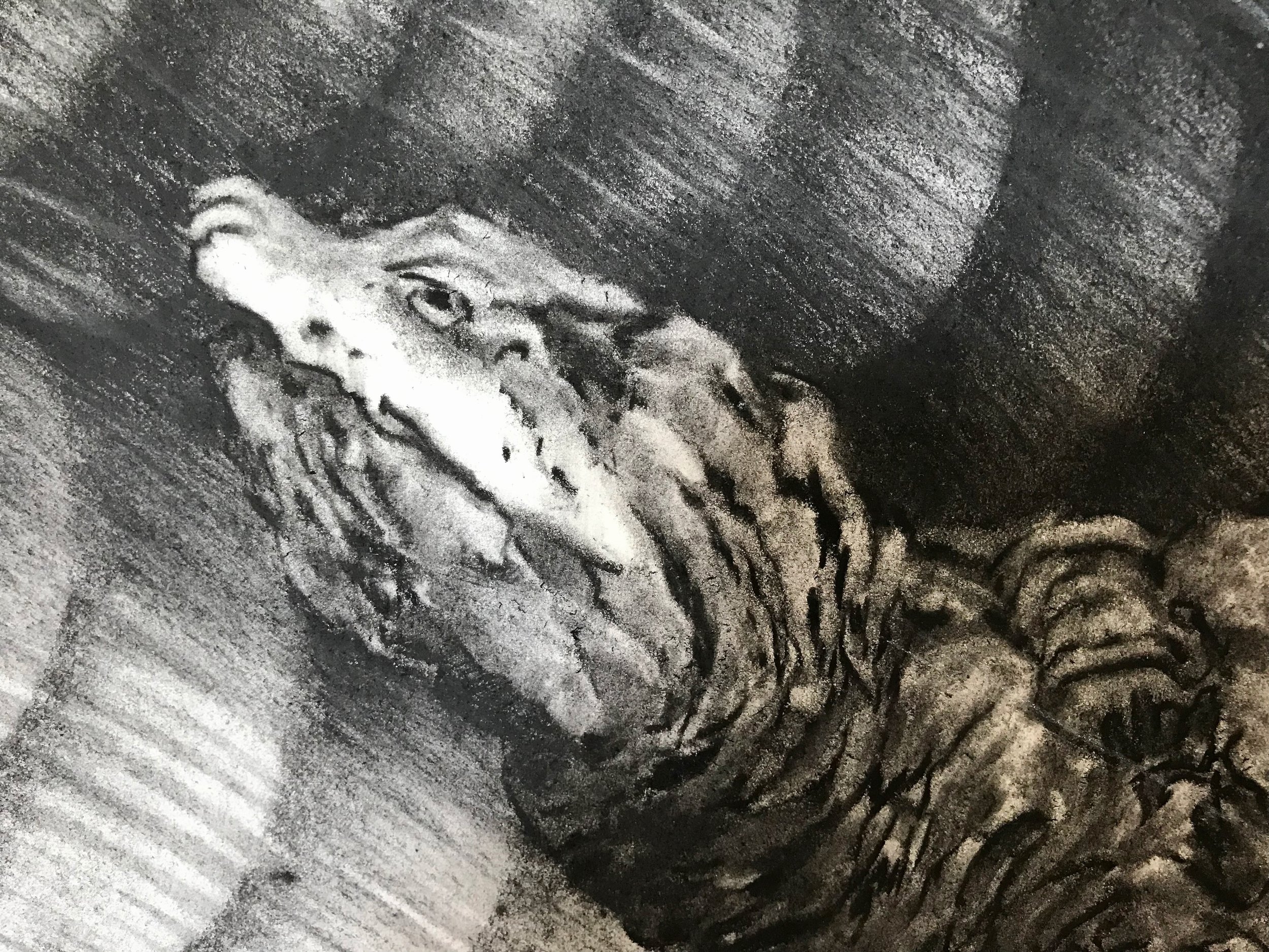 Turtle and Sailing Ship(head detail), KBDesrosiers.jpeg