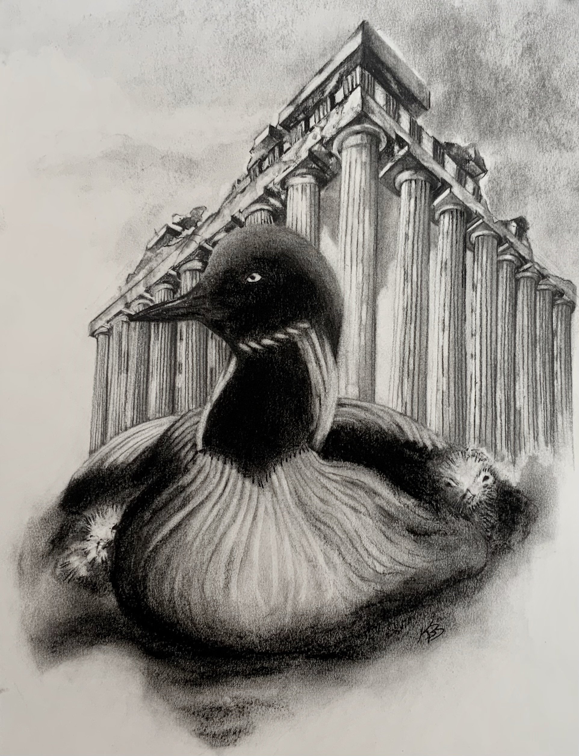 Loon and Chicks with Parthenon, KBDesrosiers, 11.25%22x14.75%22, charcoal.jpeg