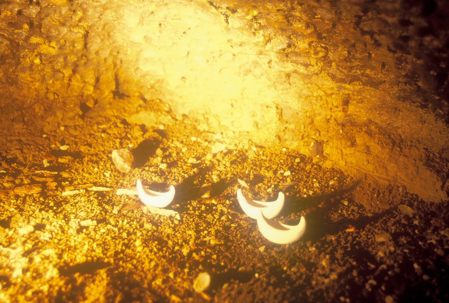 Fleet in a Cave, MN, KBDesrosiers, installation of clay forms.jpeg