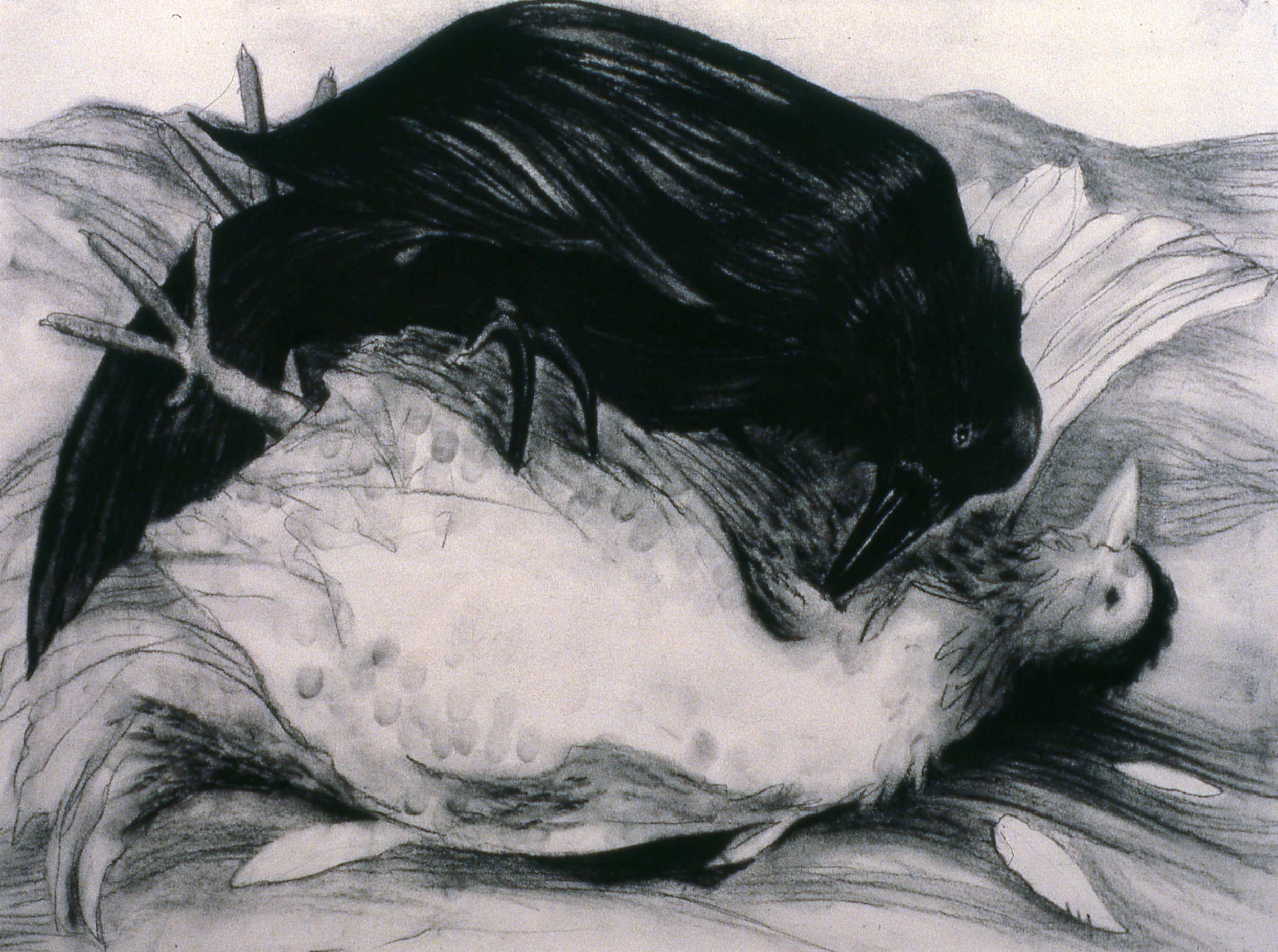 Raven and Chicken, KBDesrosiers, 24%22x18%22, charcoal.jpeg