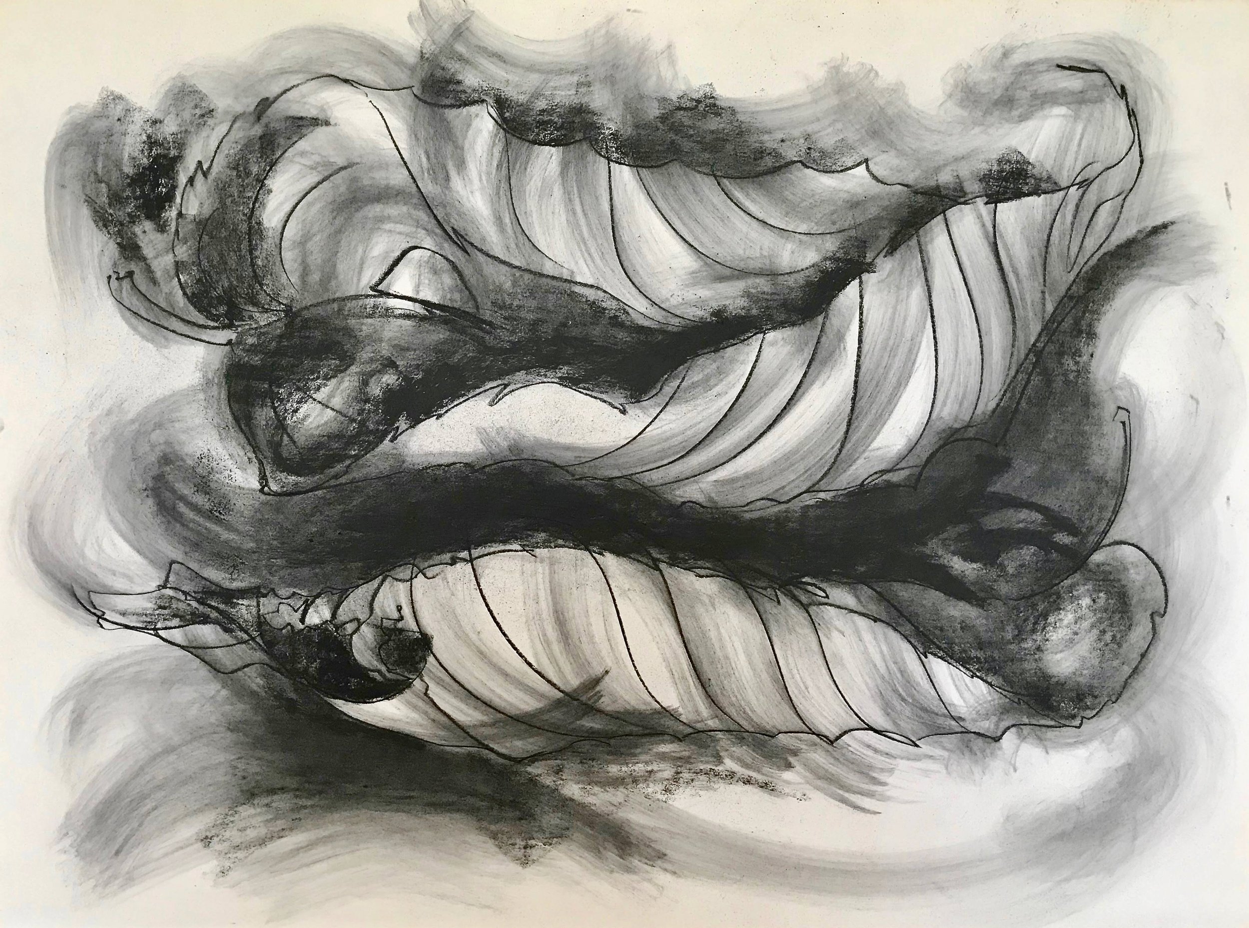 Two Cocooned Beech Leaves, KBDesrosiers, 30%22x22%22, charcoal.jpeg