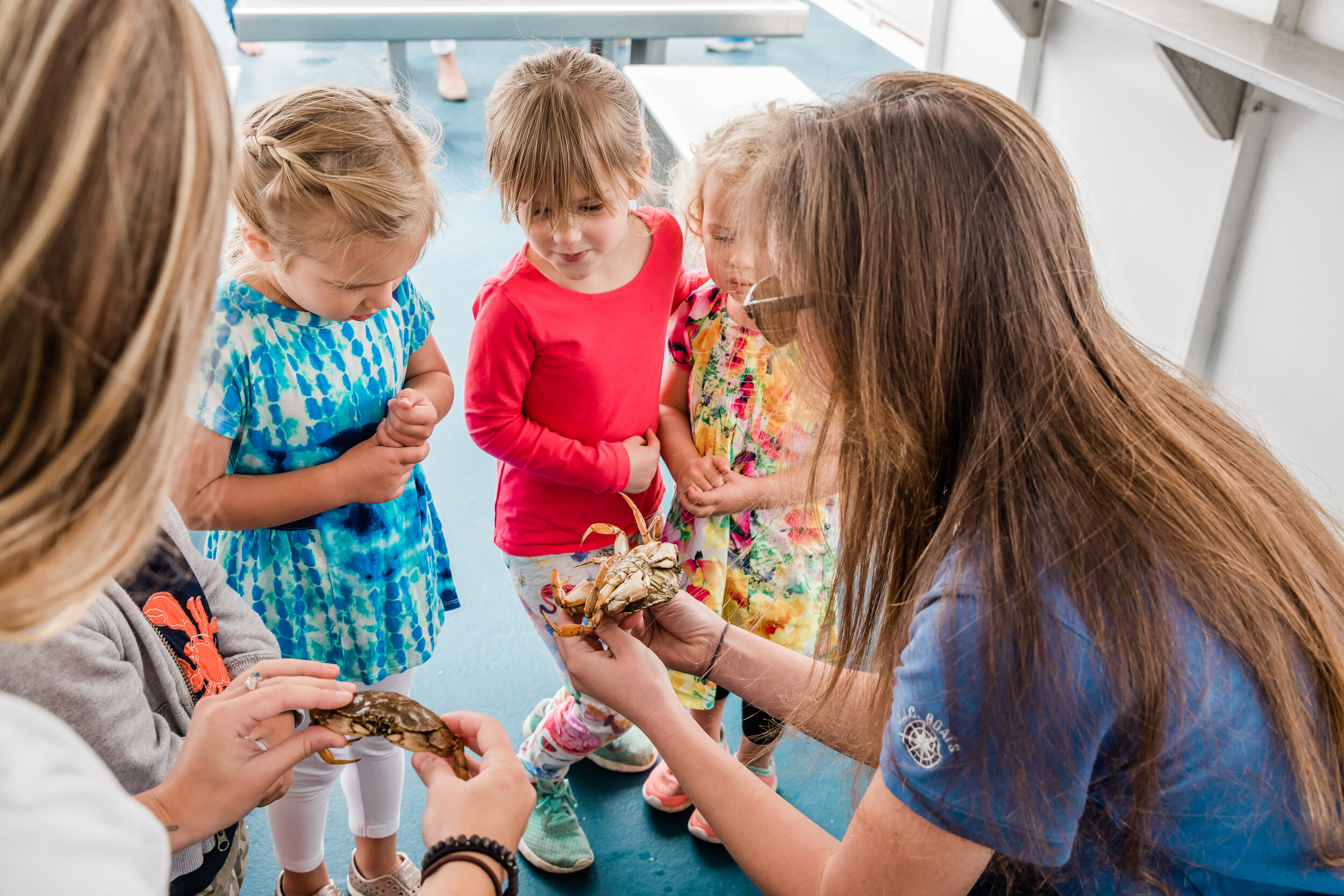 Cape May Whale Watch