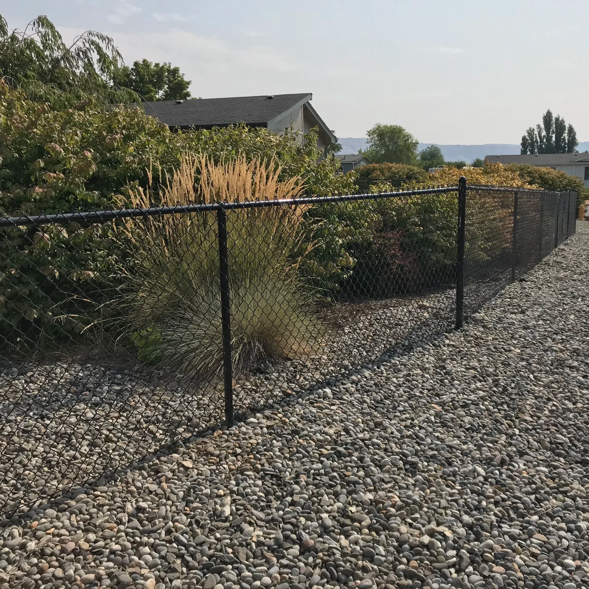 A backyard scene with a black chain-link fence and gravel ground, bushes, and trees, with houses in the background and mountains in the distance under a partly cloudy sky.
