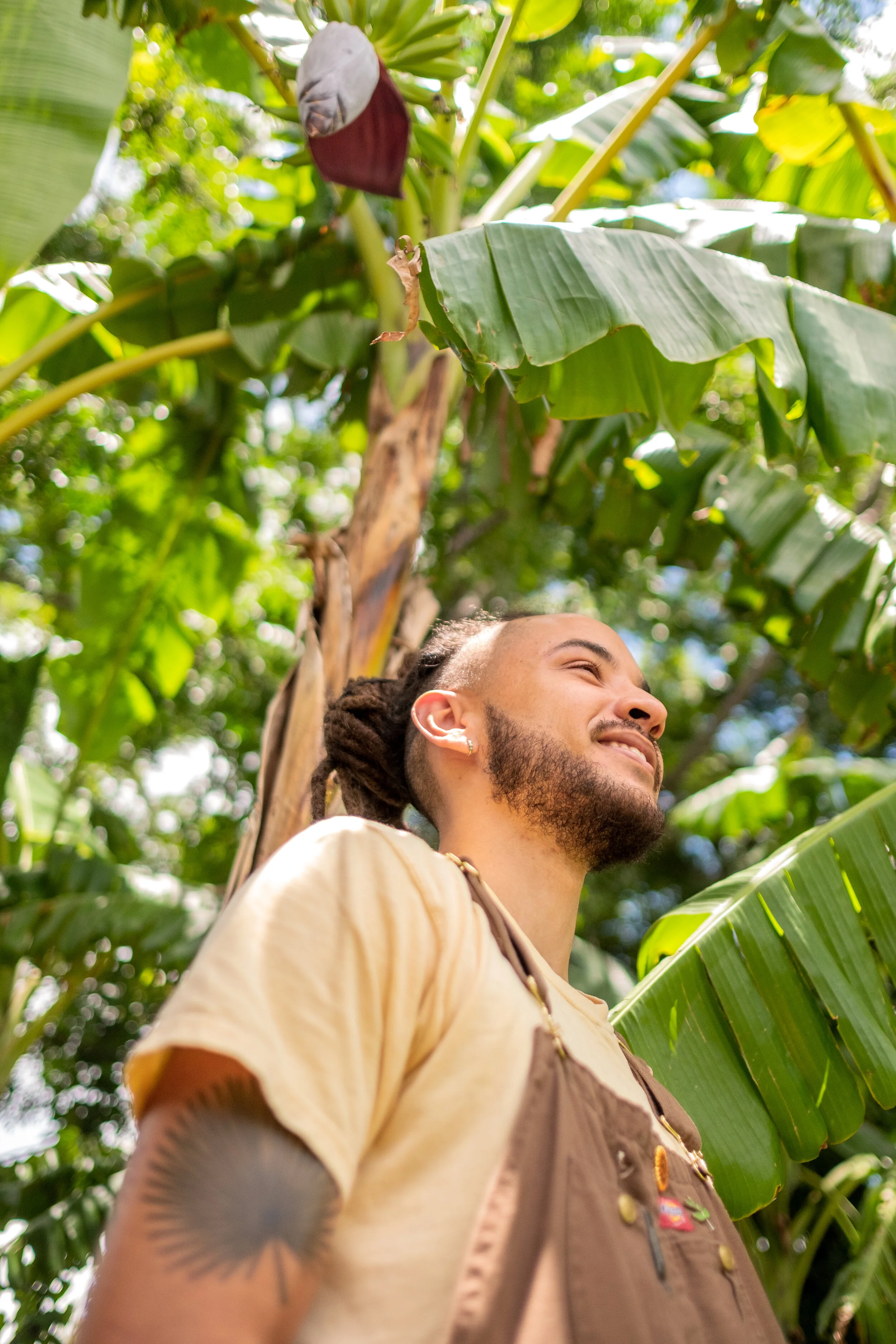 An upward photo of a man standing under a banana tree