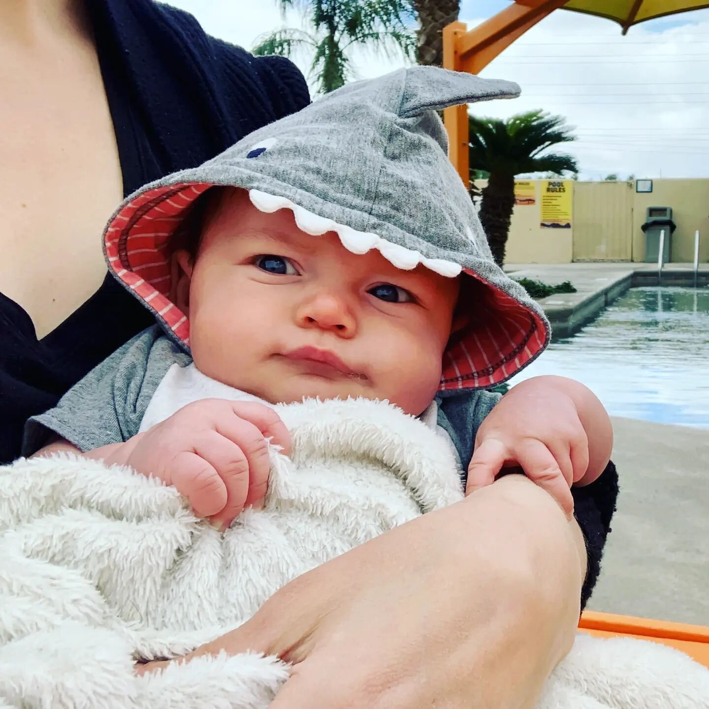 Baby Koa, seen here during his own #sharkweek is just over three months old and already a pro little #nomad. 

I couldn't be more proud to be his dad. 

@ava_waits and I were recently interviewed about what it's like to raise a child while being on t