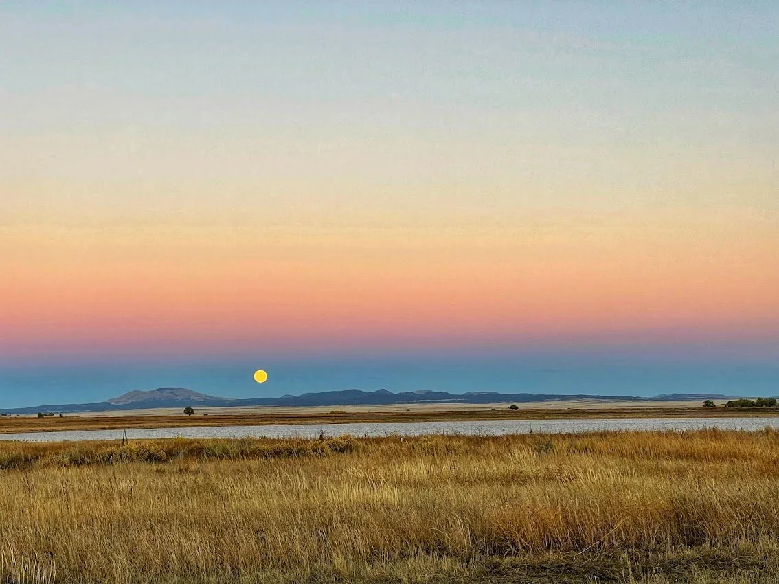 Lake 13, Maxwell, New Mexico
