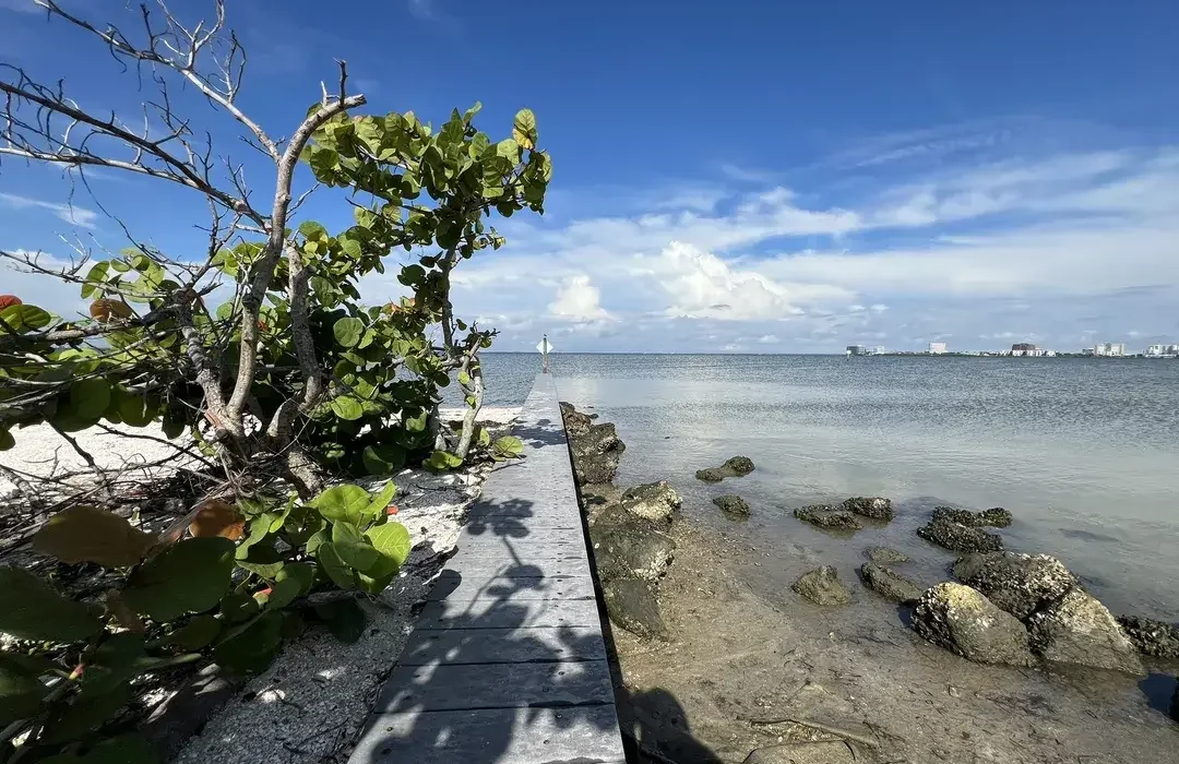 Cypress Point Park | Tampa Florida | Laura Jessica Photography