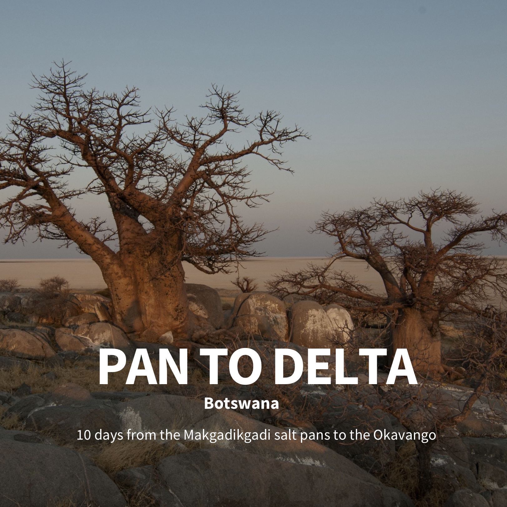 Pans to Delta, Botswana - Field Note (COMING SOON)