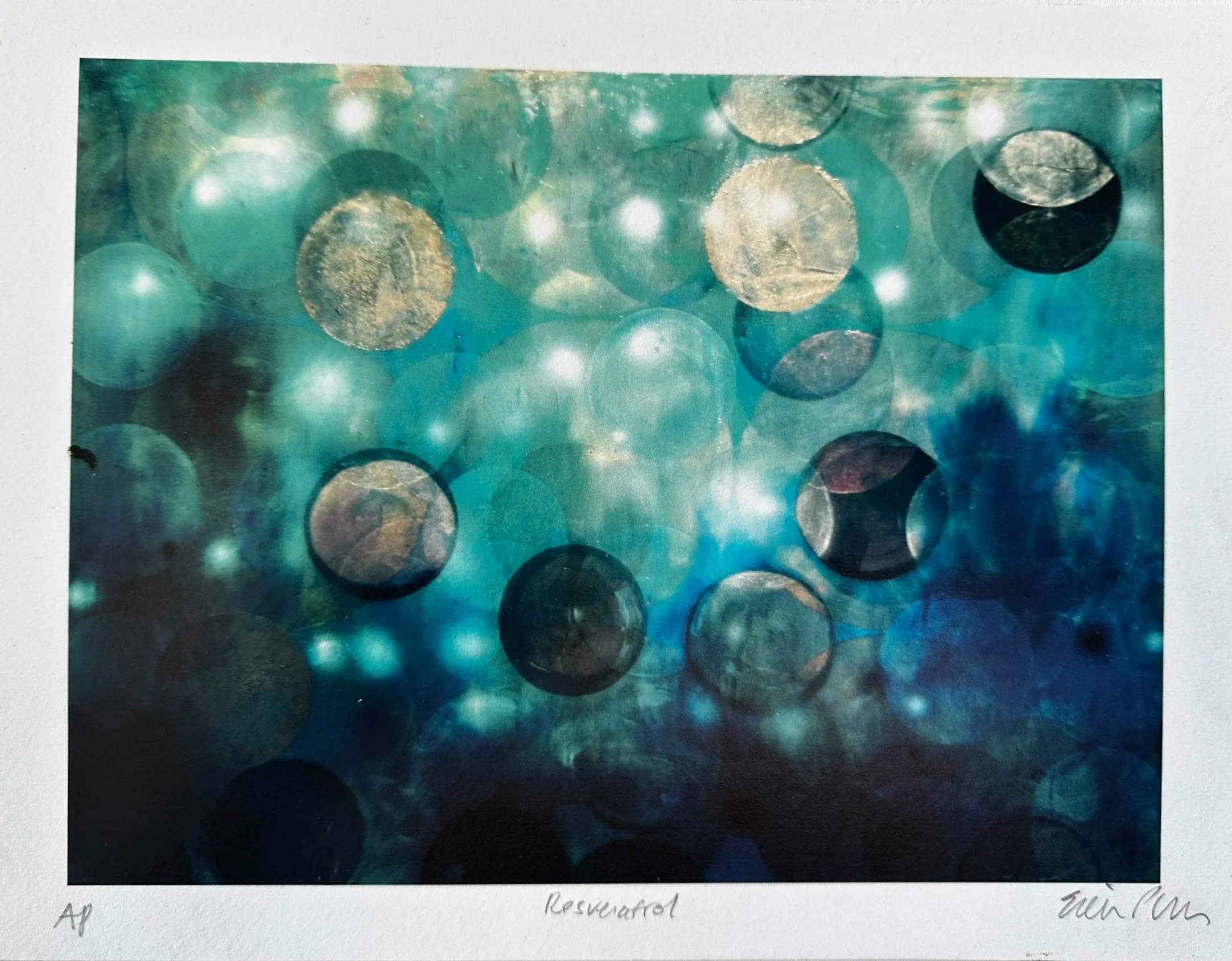 Resveratrol AP, 7" x 9.5", giclee, $250