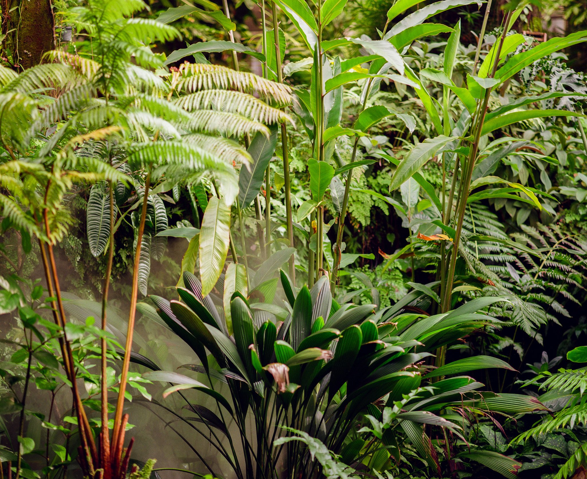 000089490005 copy.jpg