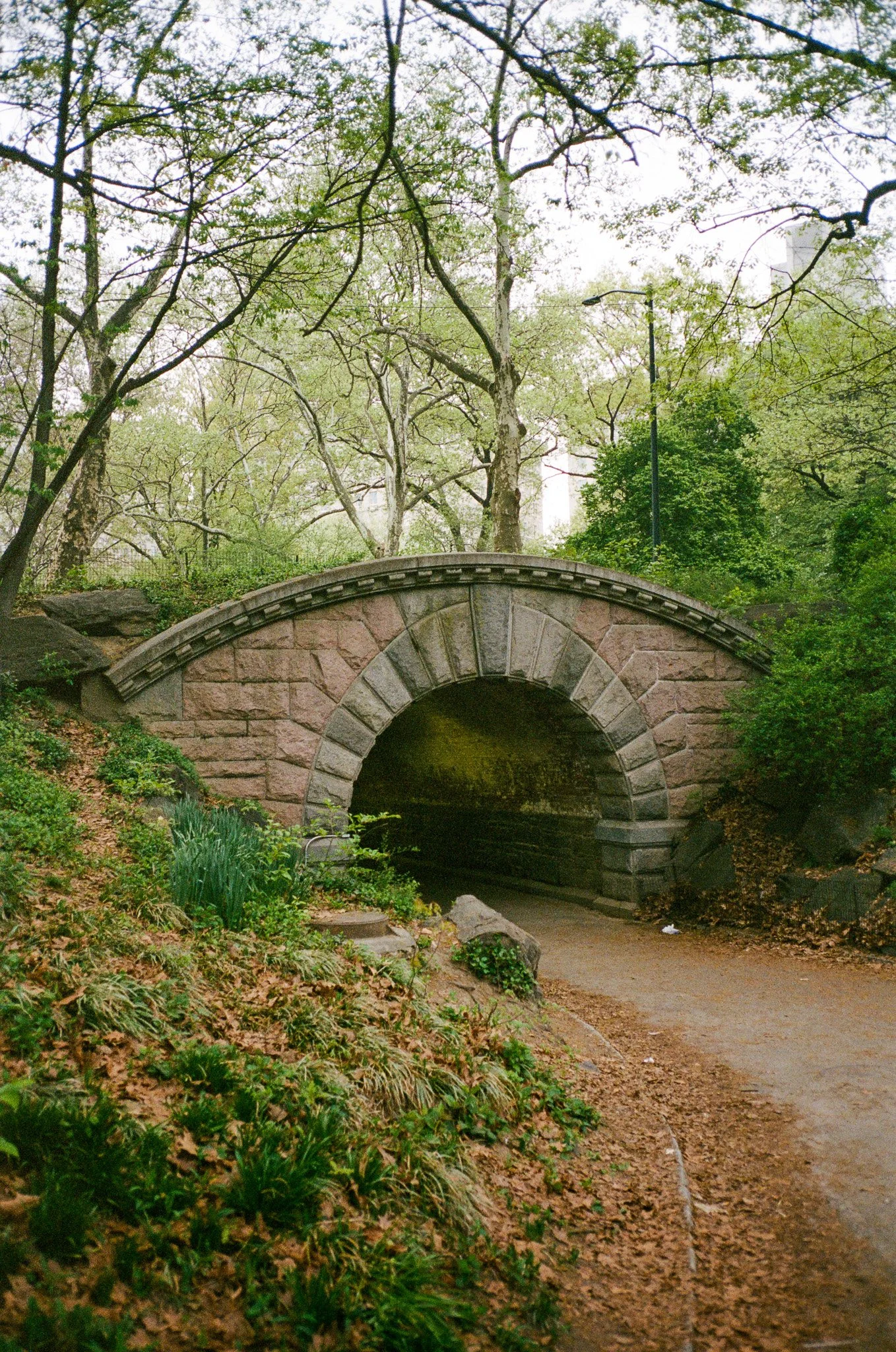000032620010.jpg
